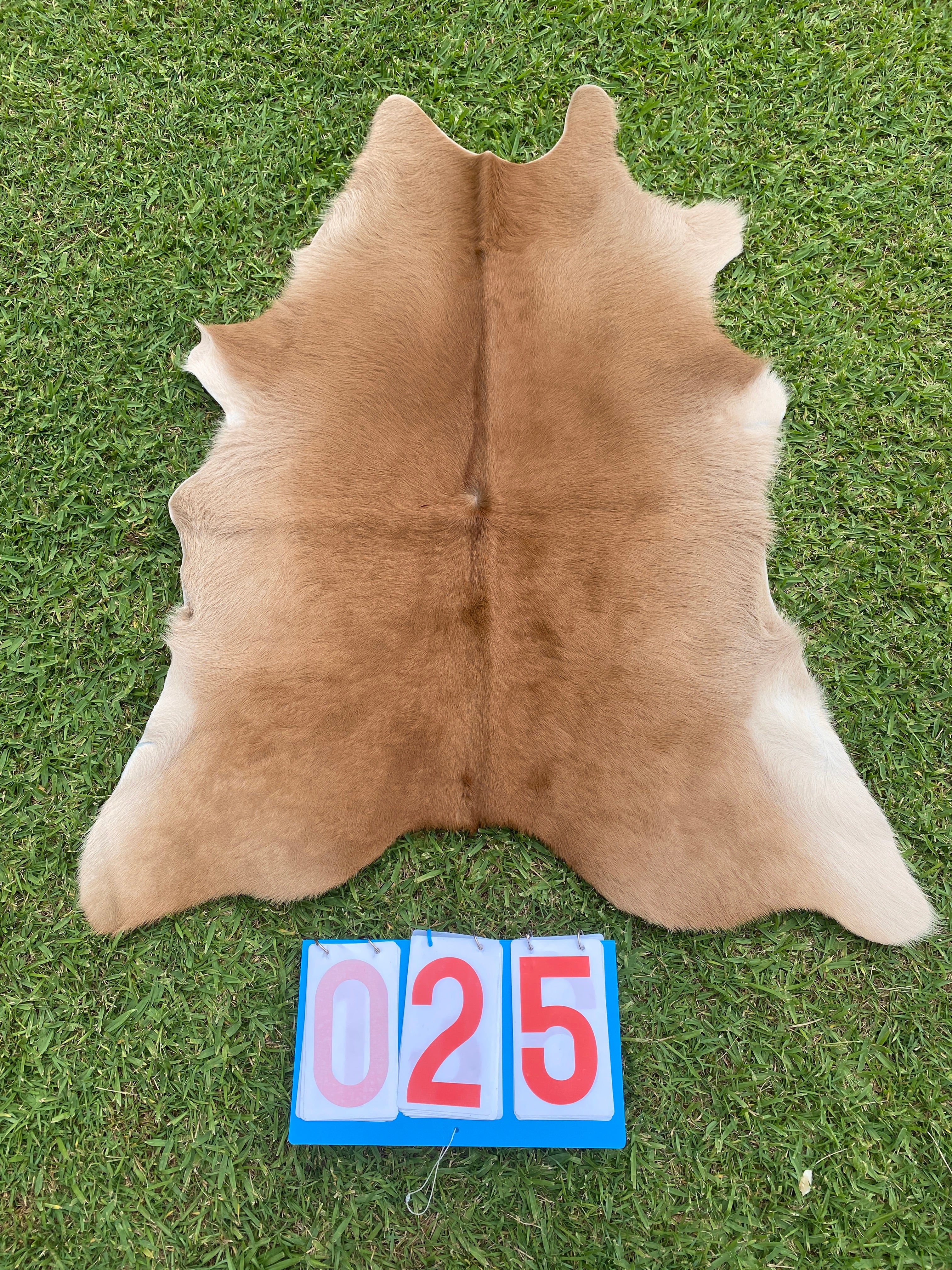 Cowhide - Calf Skins