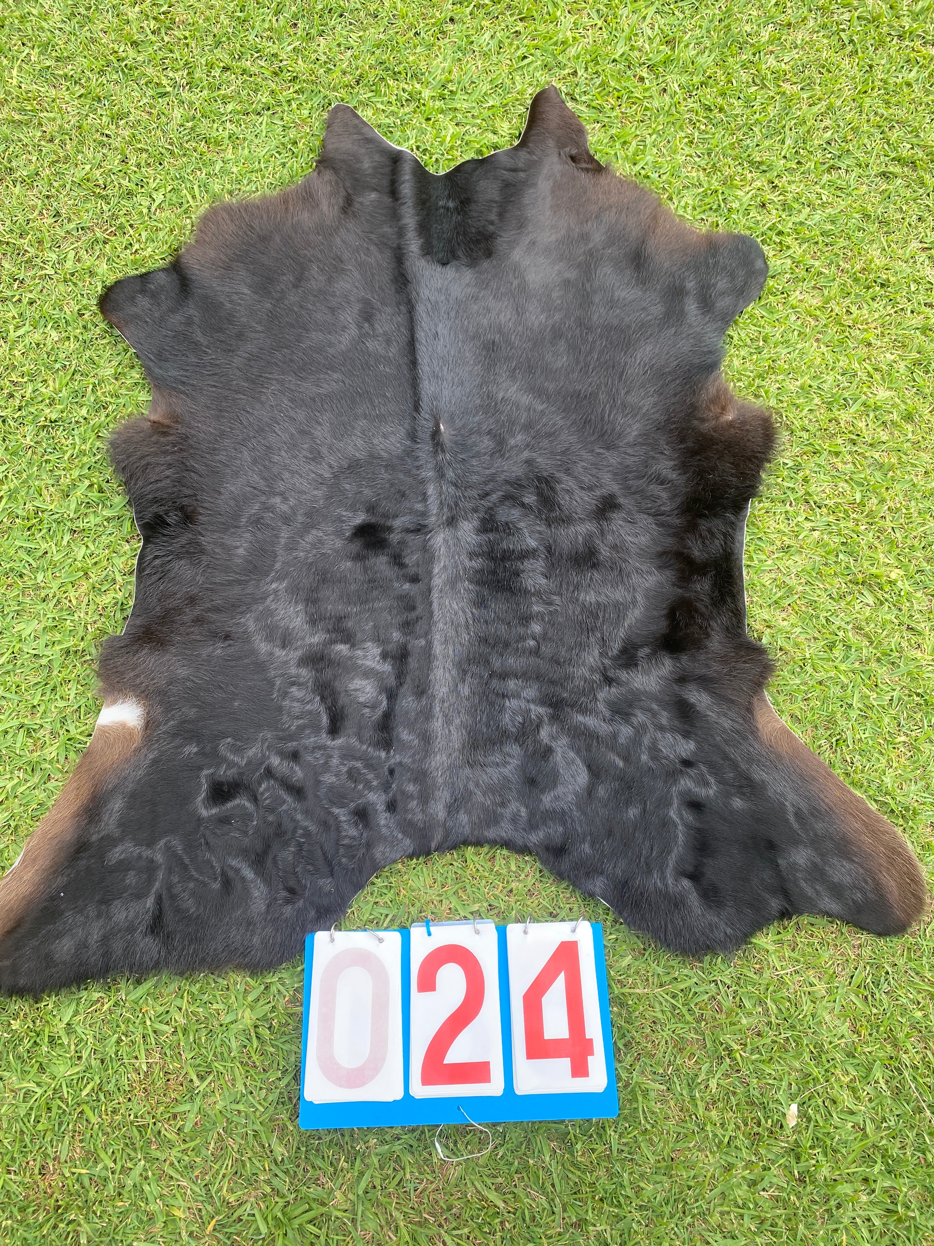 Cowhide - Calf Skins