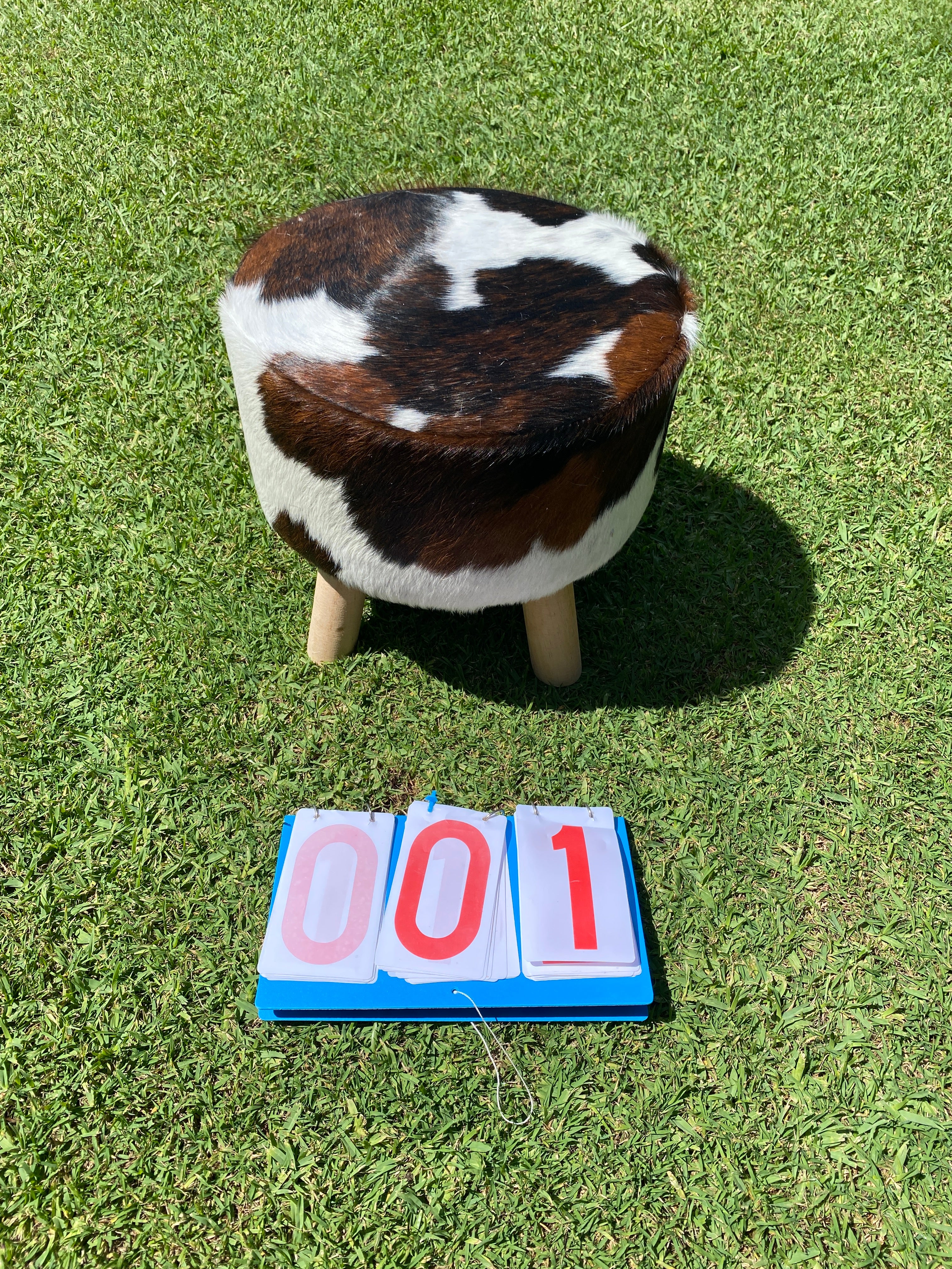 Cowhide Footstools