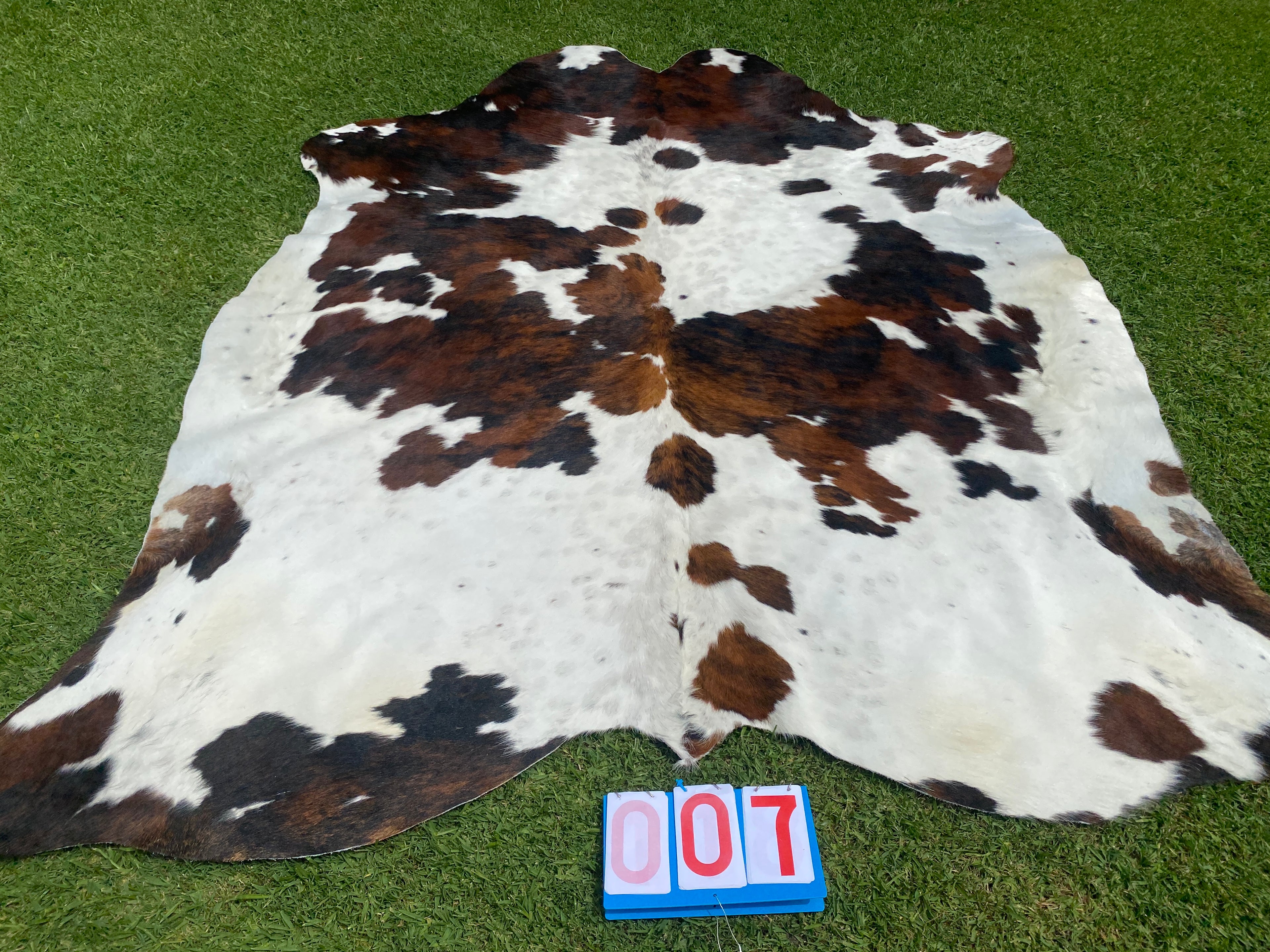 Cowhide 07 Large BrindleTtricolour