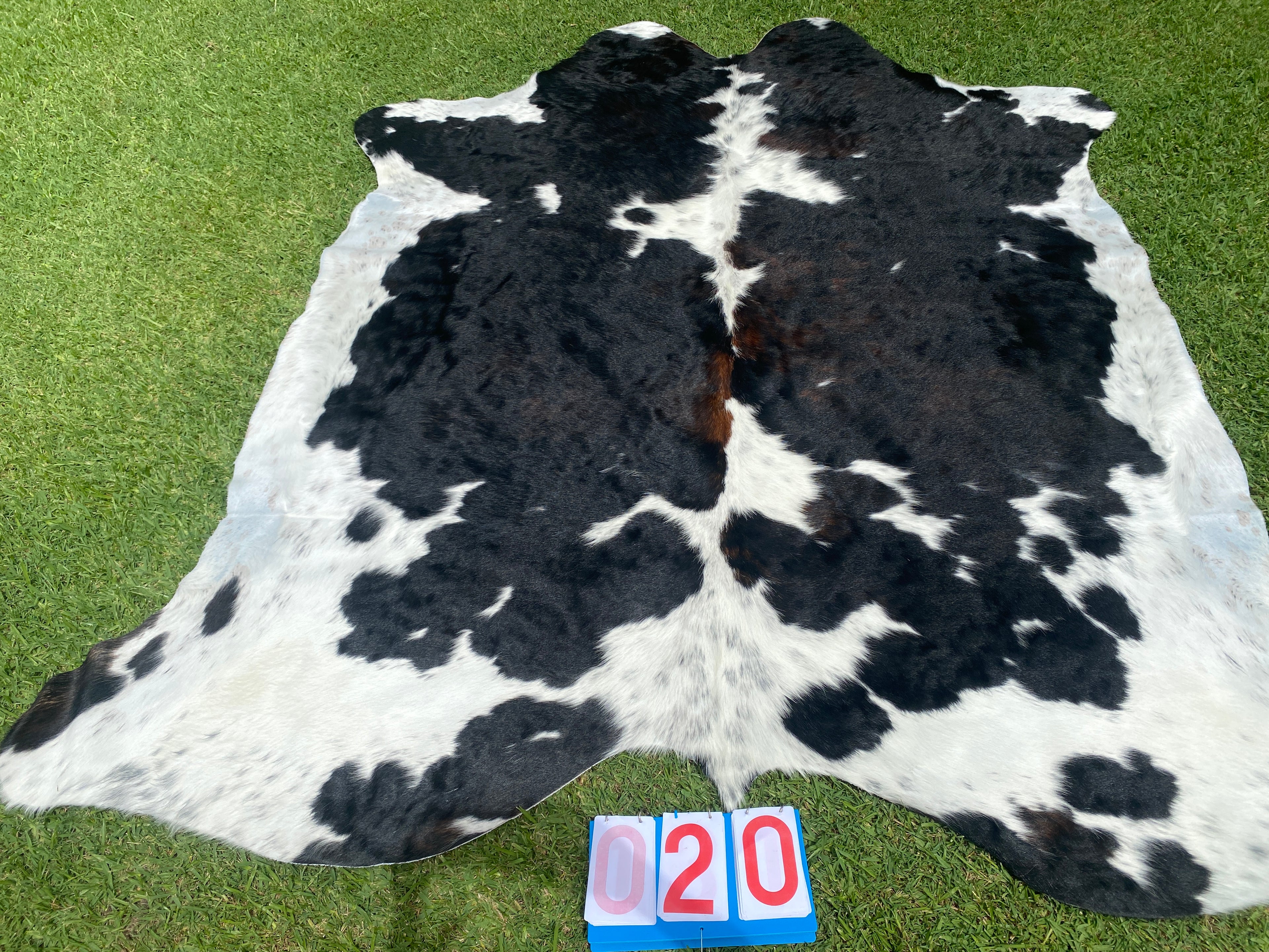 Cowhide 20 Black White and Red