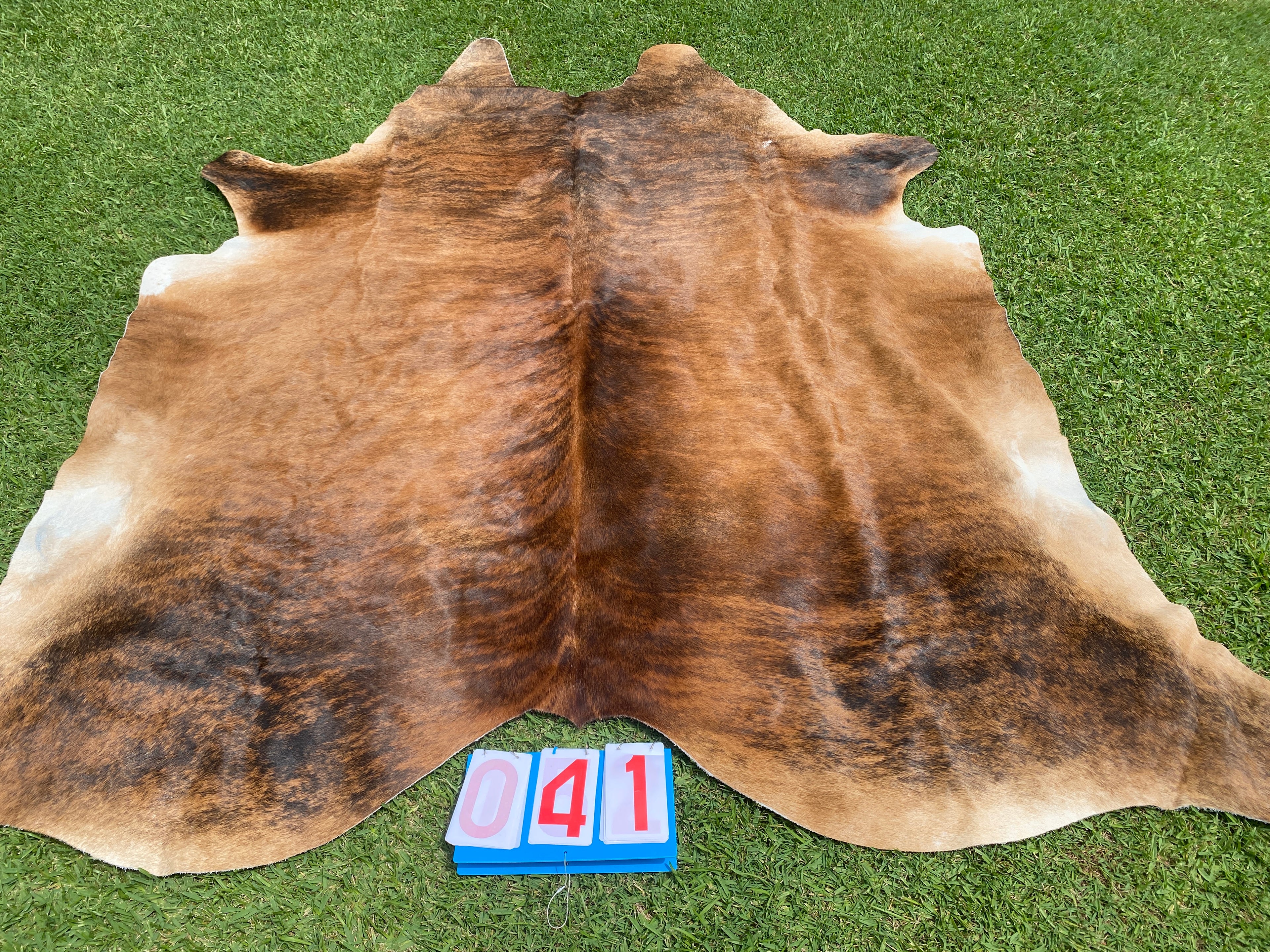 Cowhide 41 Mahogany Brindle