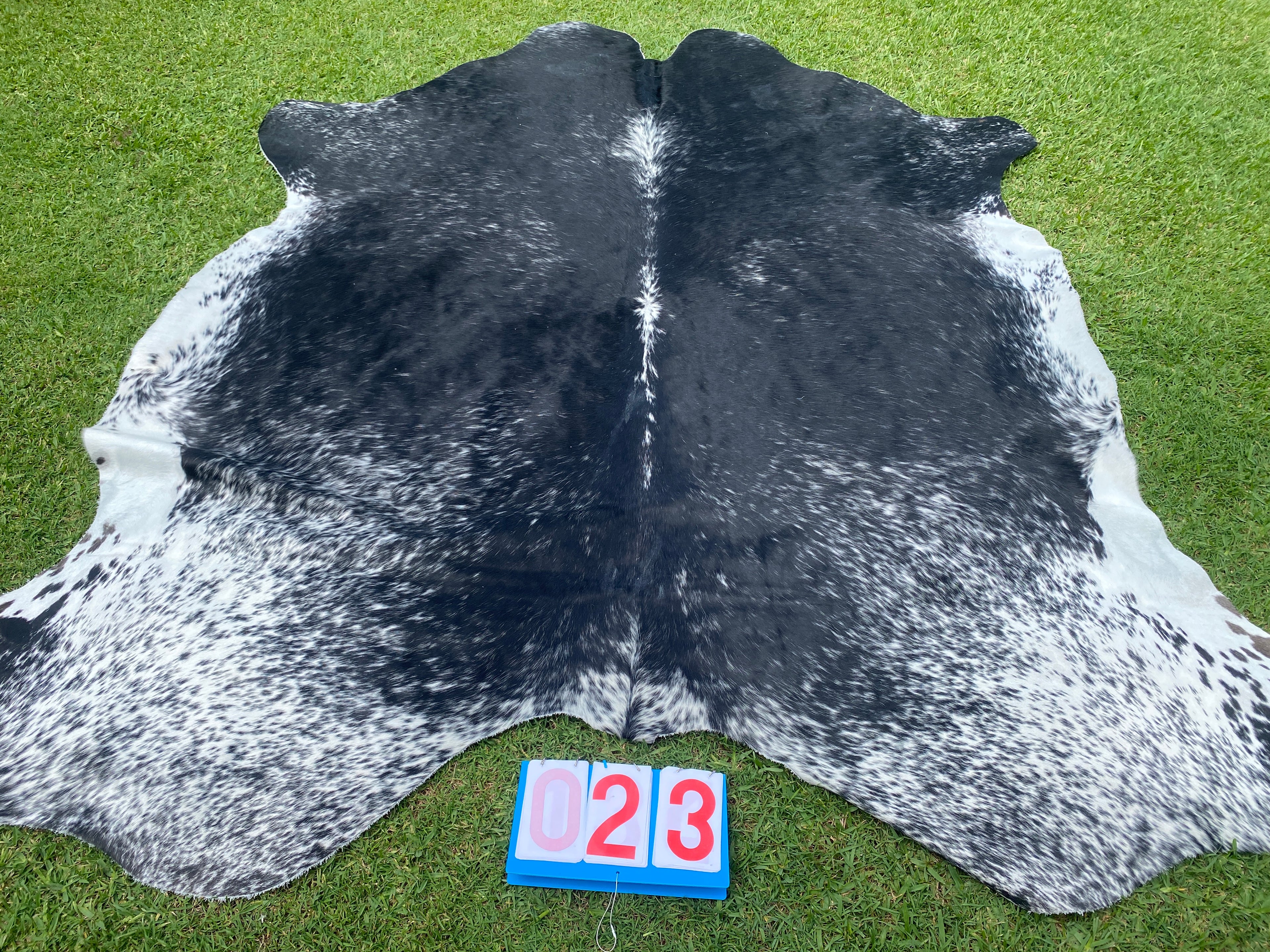 Cowhide 23 Black Speckled