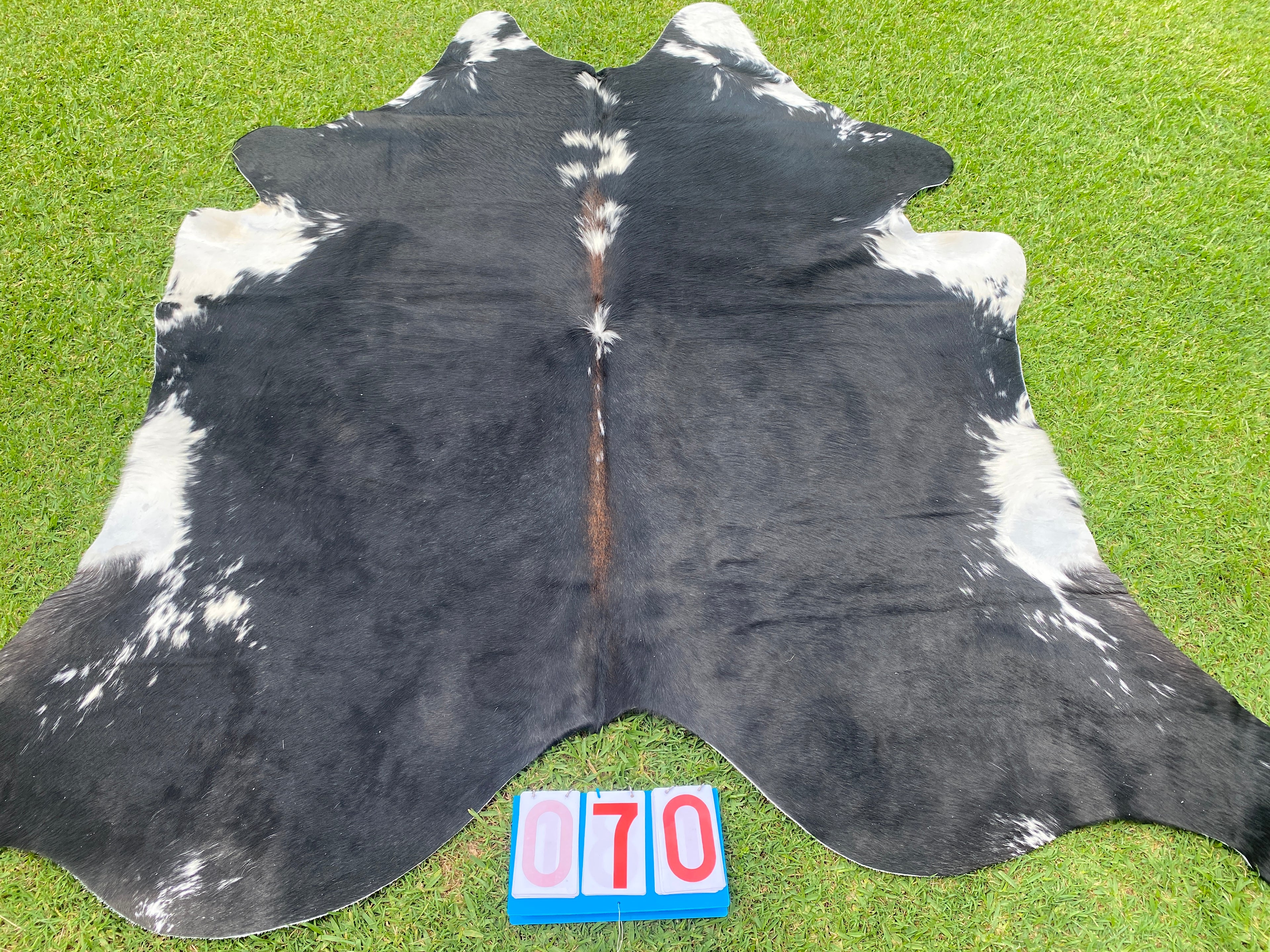 Cowhide 70 Black White with Red Spine