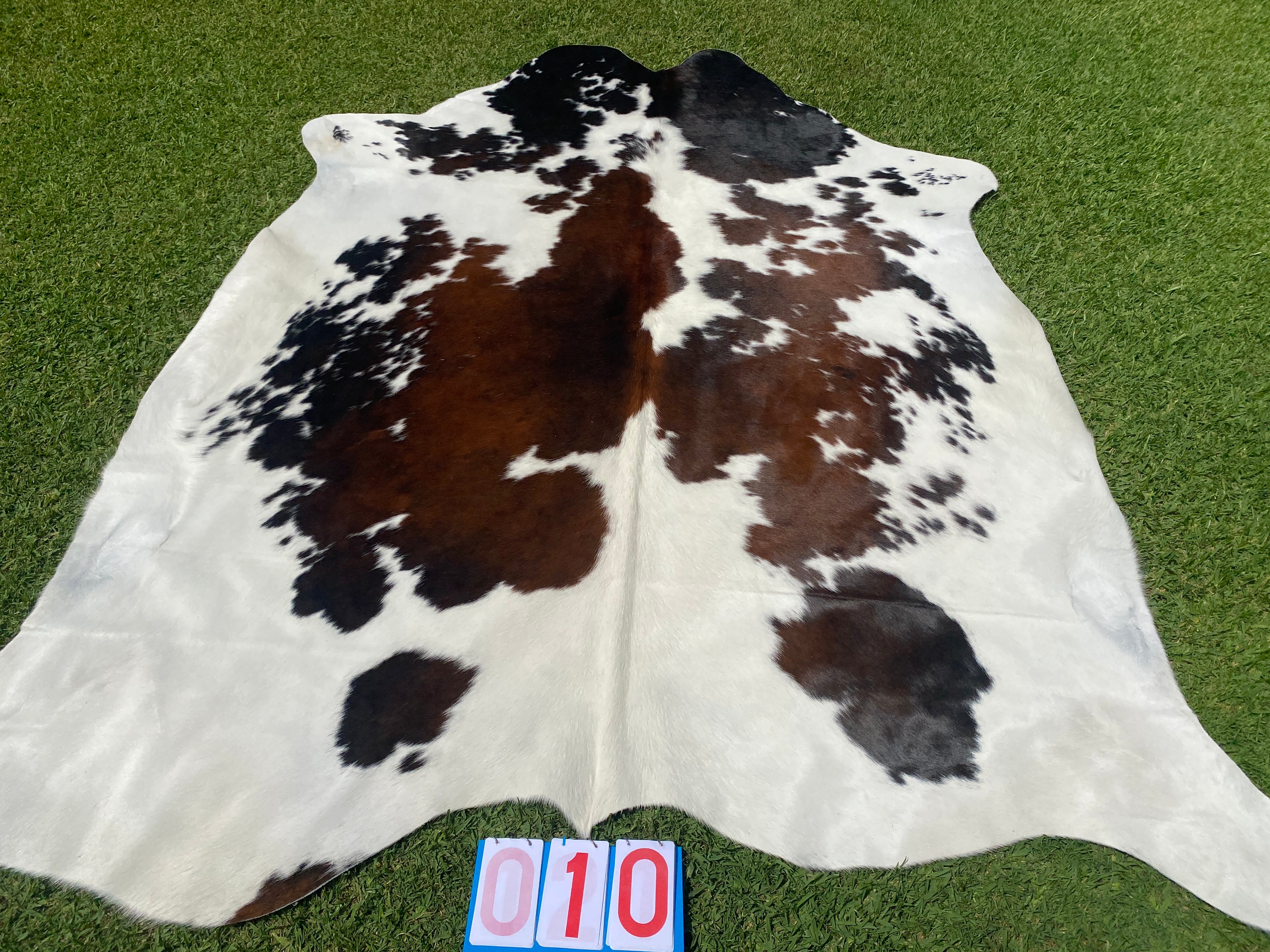 Cowhide 10 Tri Colour