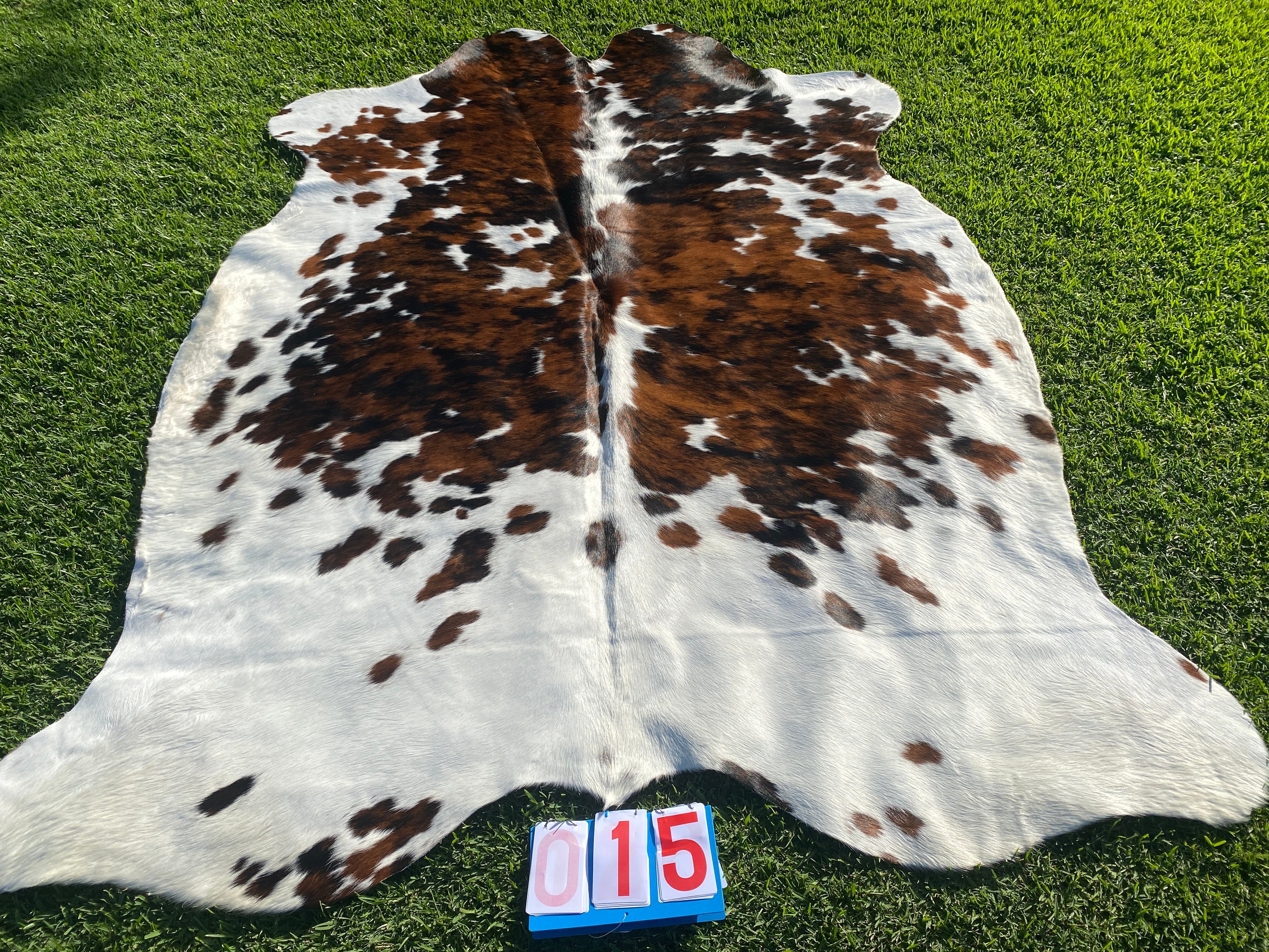 Cowhide 15 Tricolour Brindle