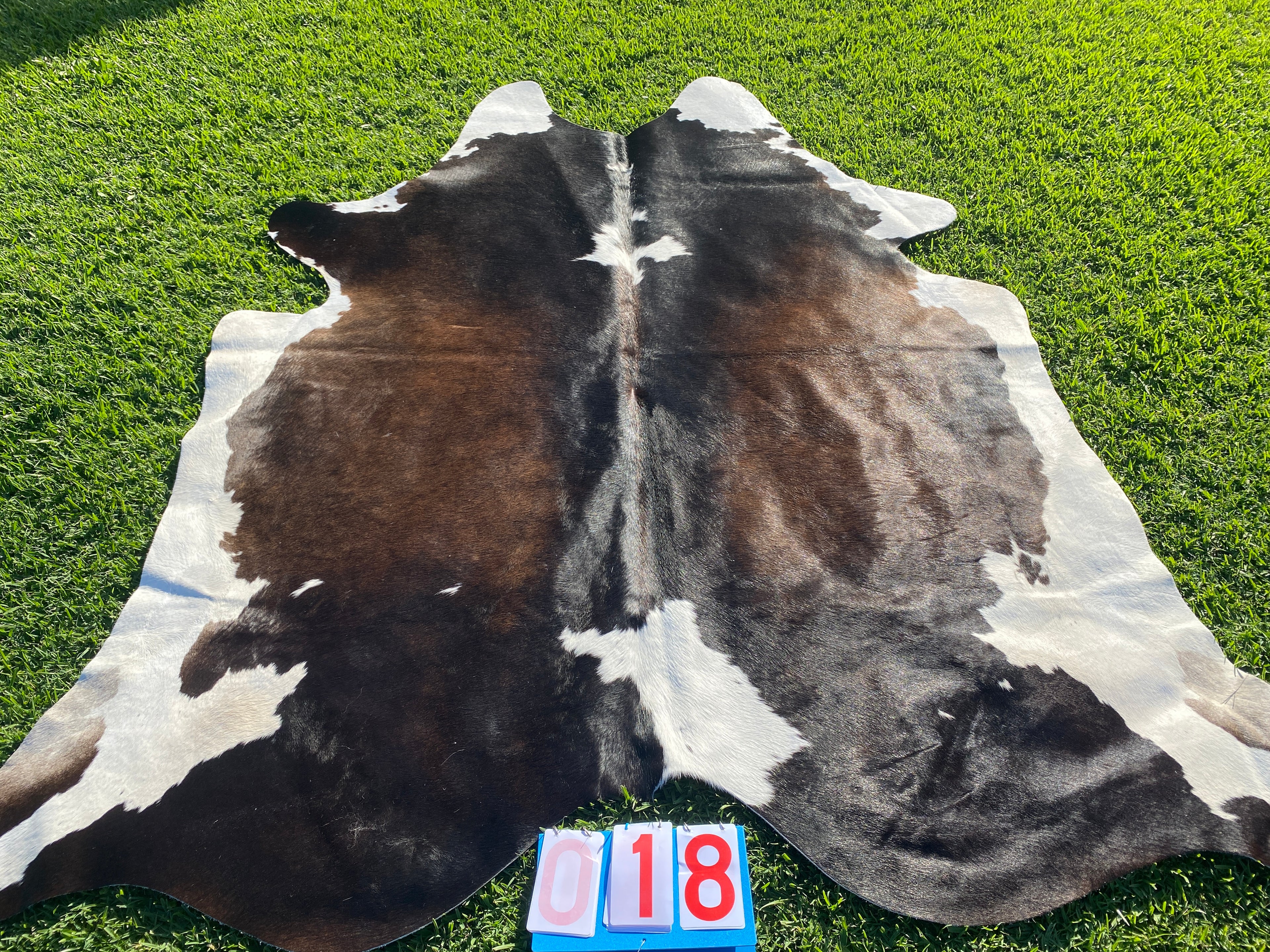 Cowhide 18 Red Black and White