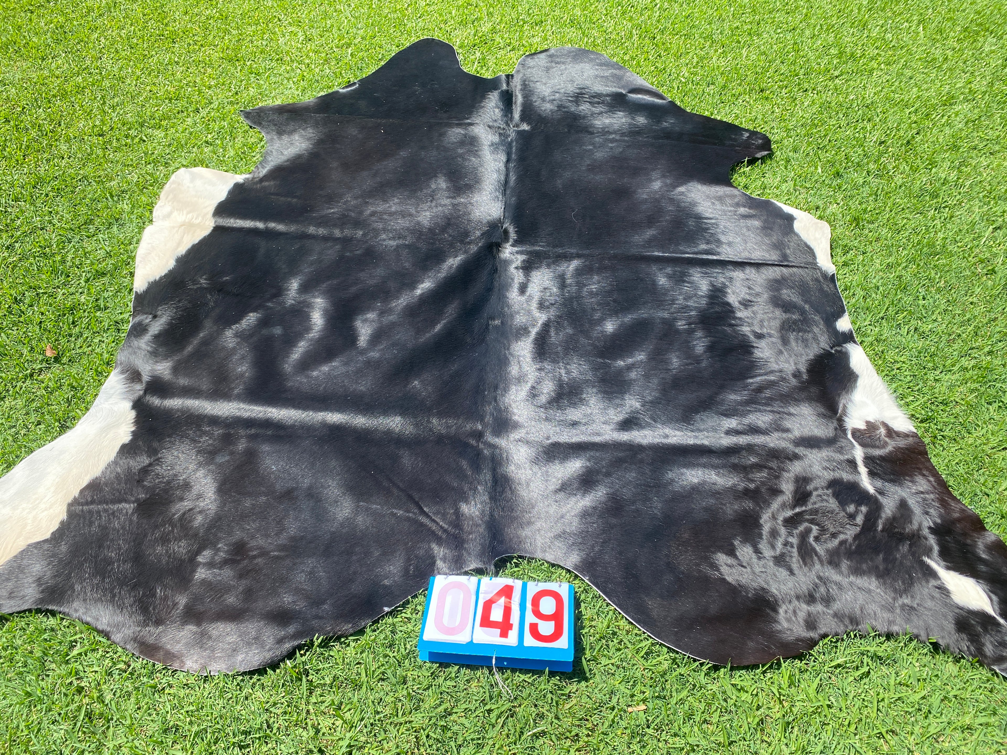 Cowhide 49 Black with a touch of White
