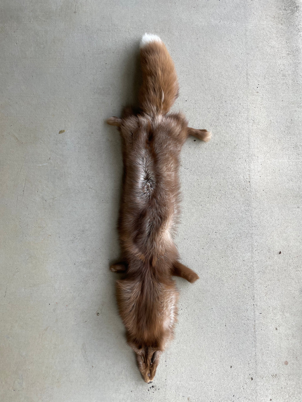 Specialty Skin - Fox Skins