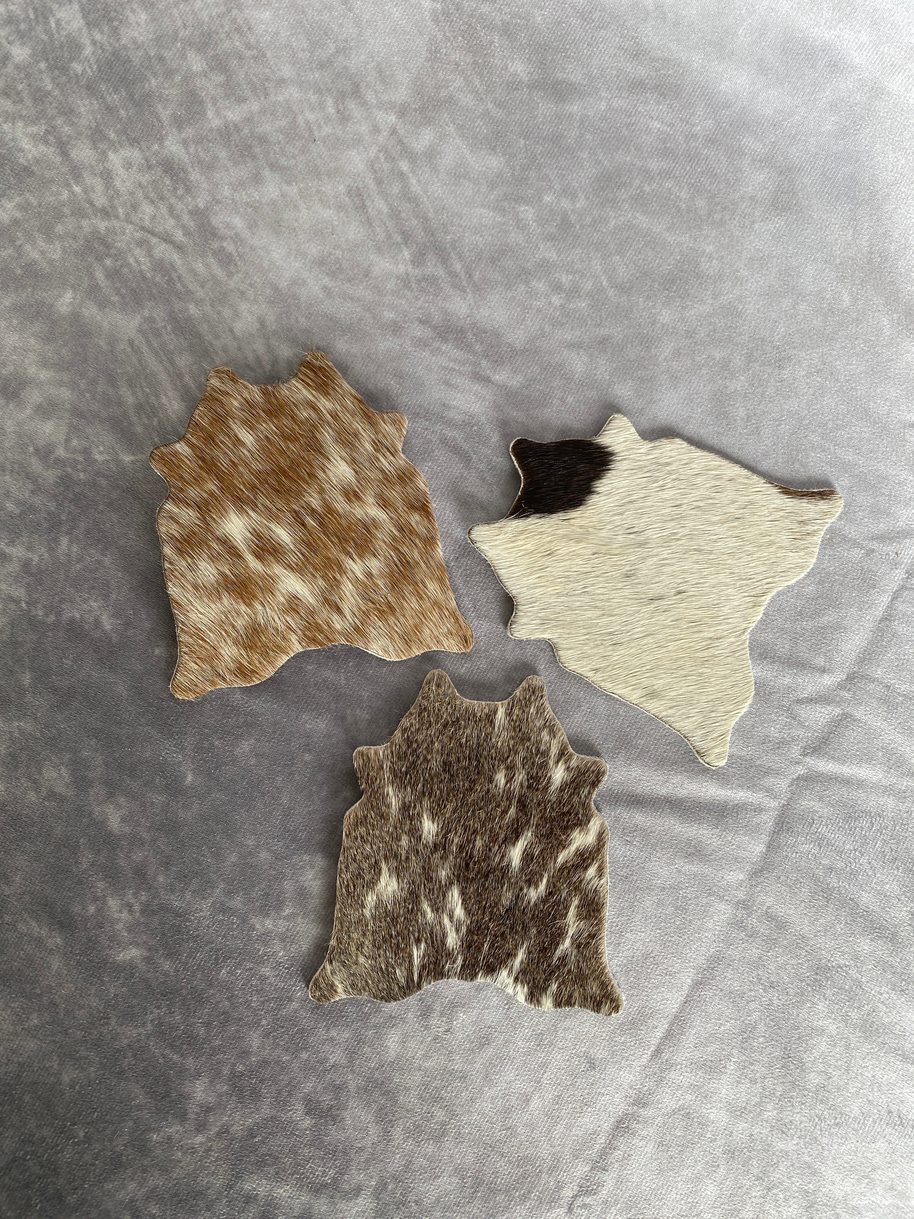 Cowhide Coasters/Placemats