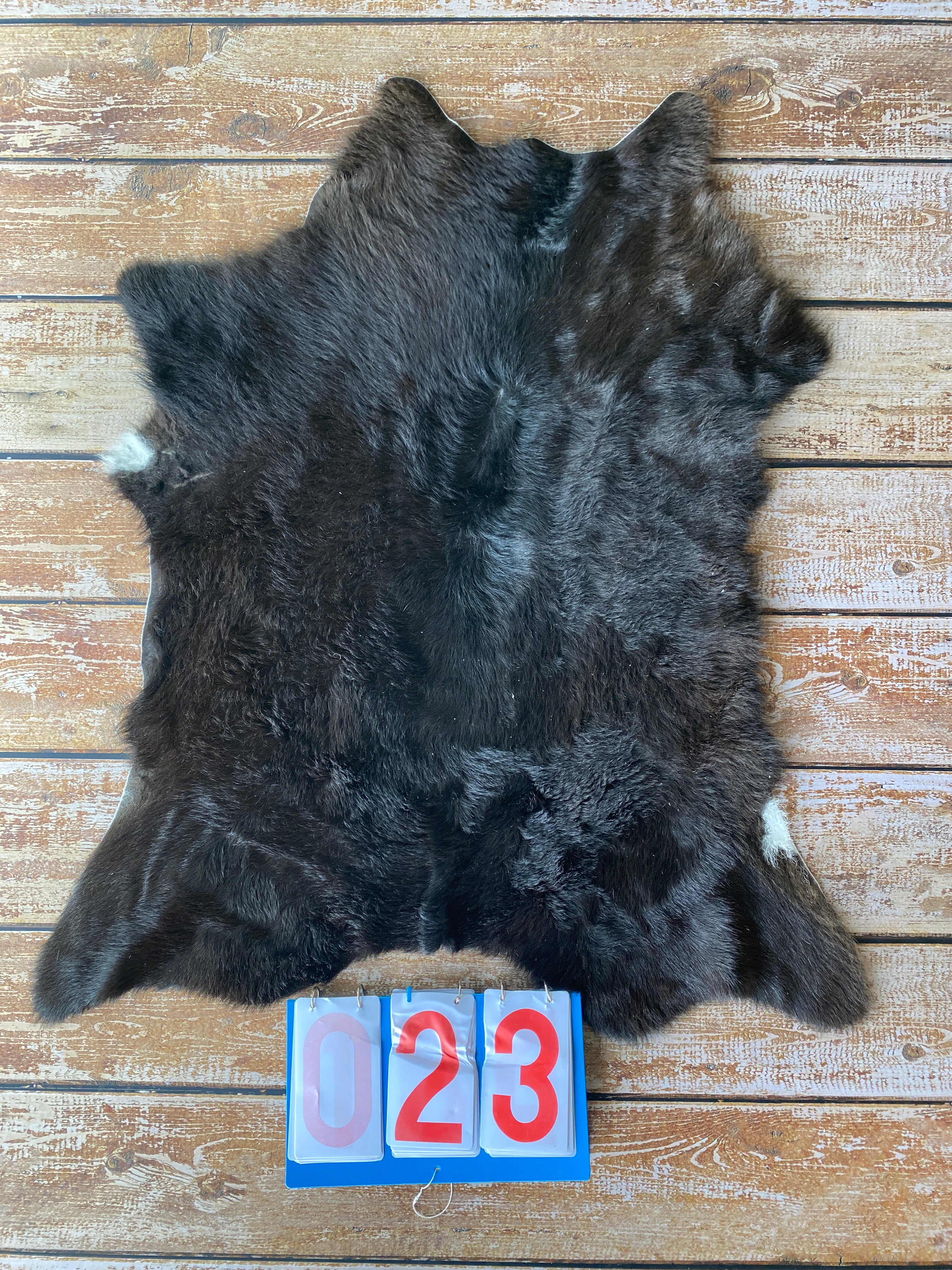 Cowhide - Calf Skins