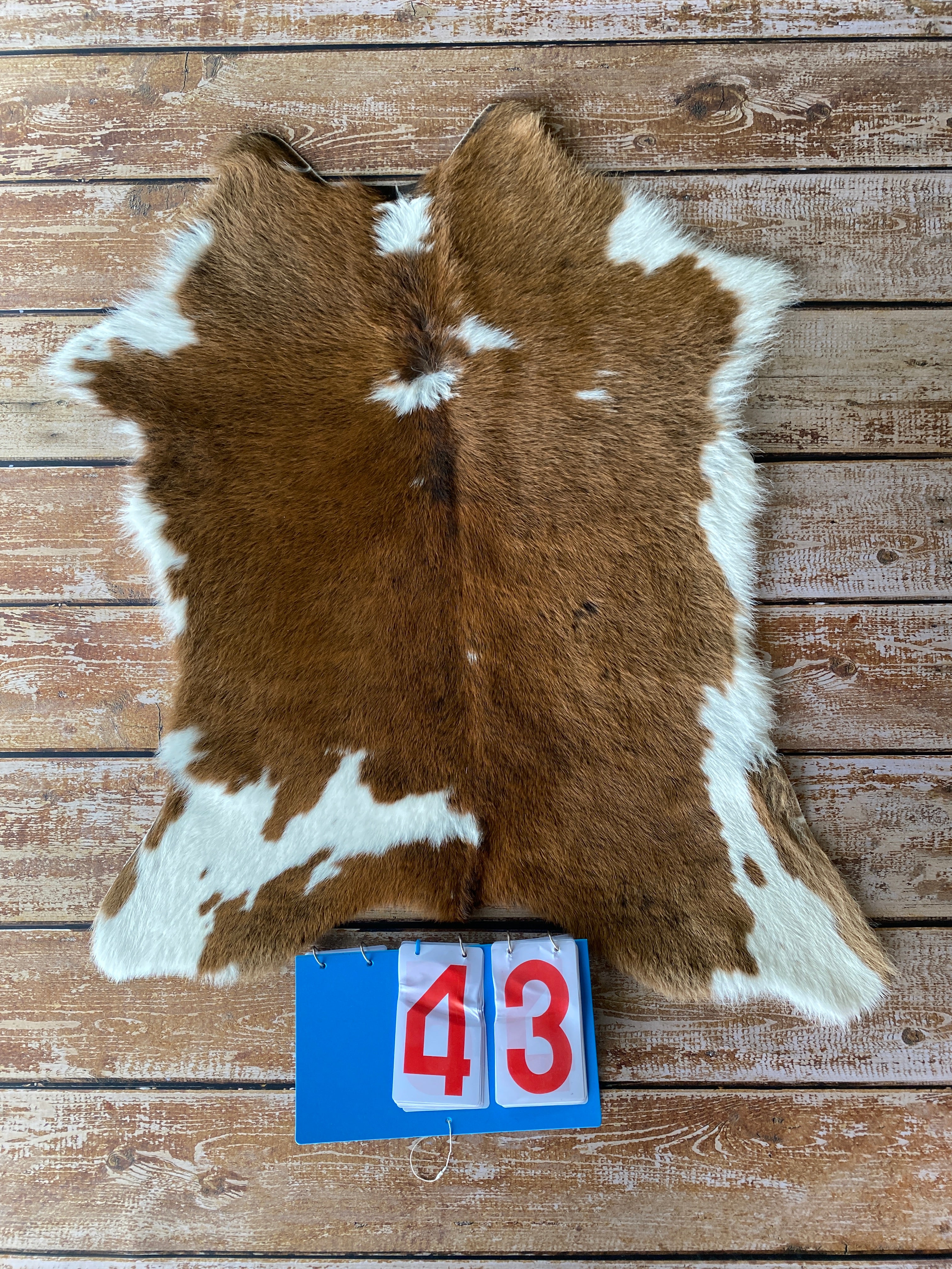 Cowhide - Calf Skins