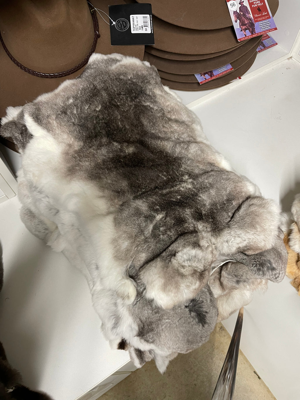 Specialty Skin - Rex Rabbit