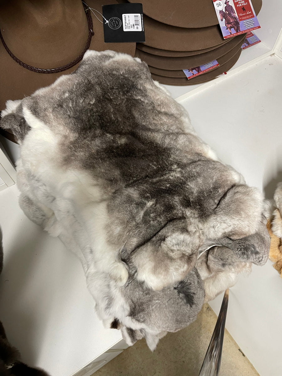 Specialty Skin - Rex Rabbit – The Skin Thing