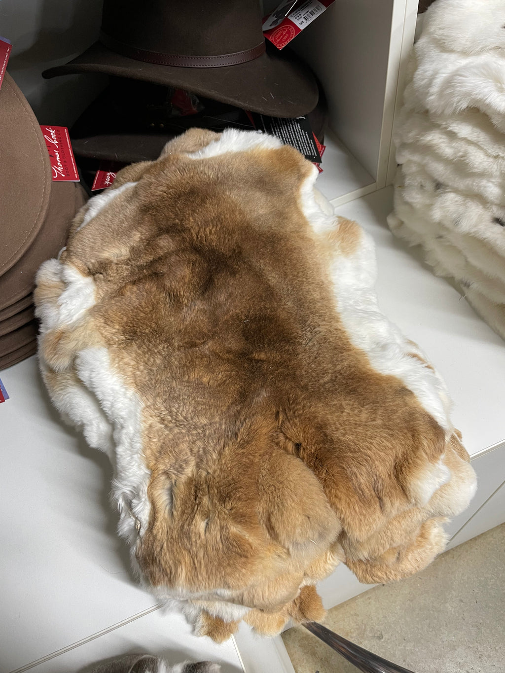 Specialty Skin - Rex Rabbit