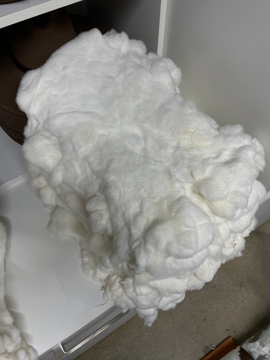 Specialty Skin - Rex Rabbit