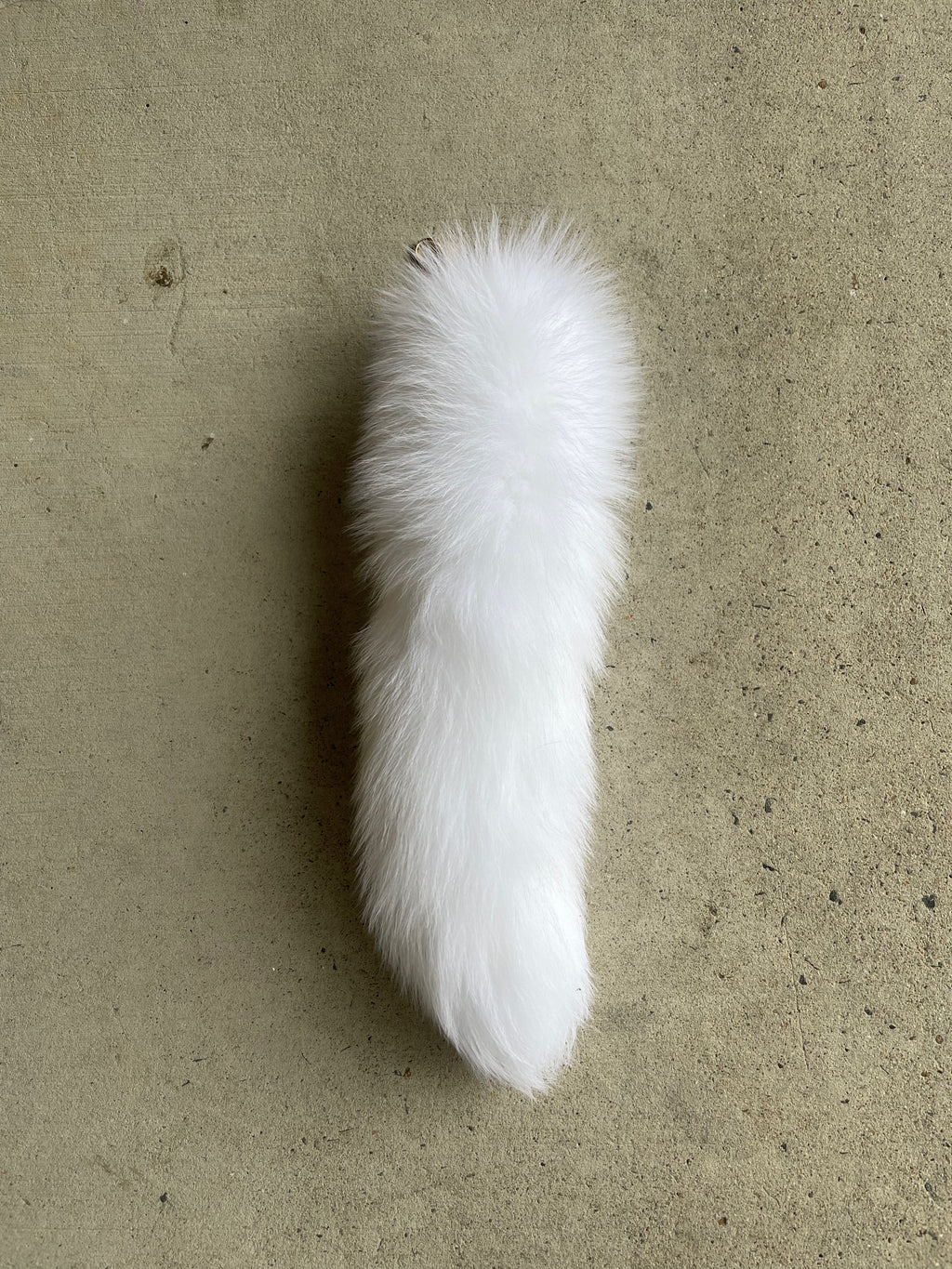 Specialty Skin - Fox Skins