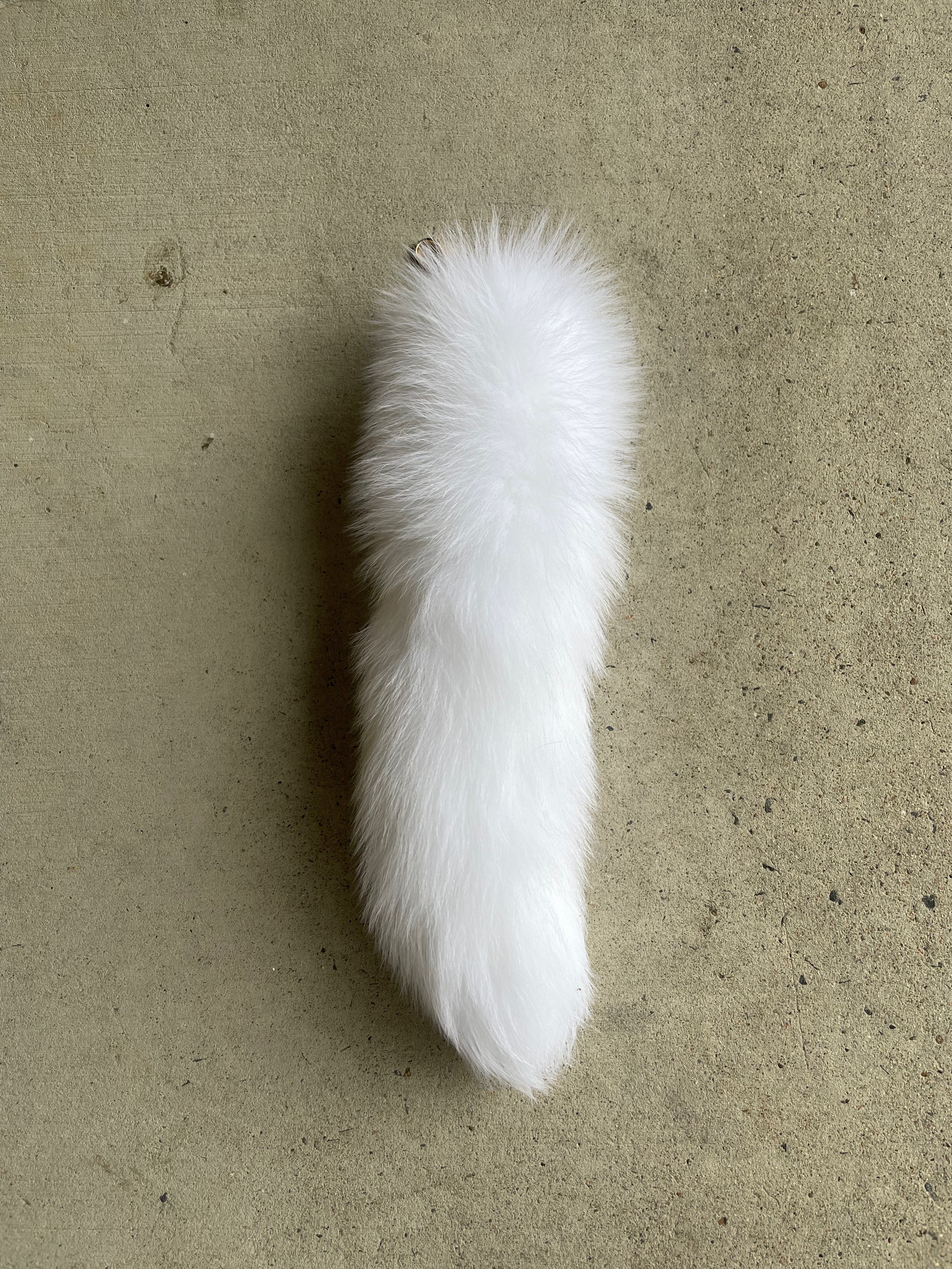 Specialty Skin - Fox Skins