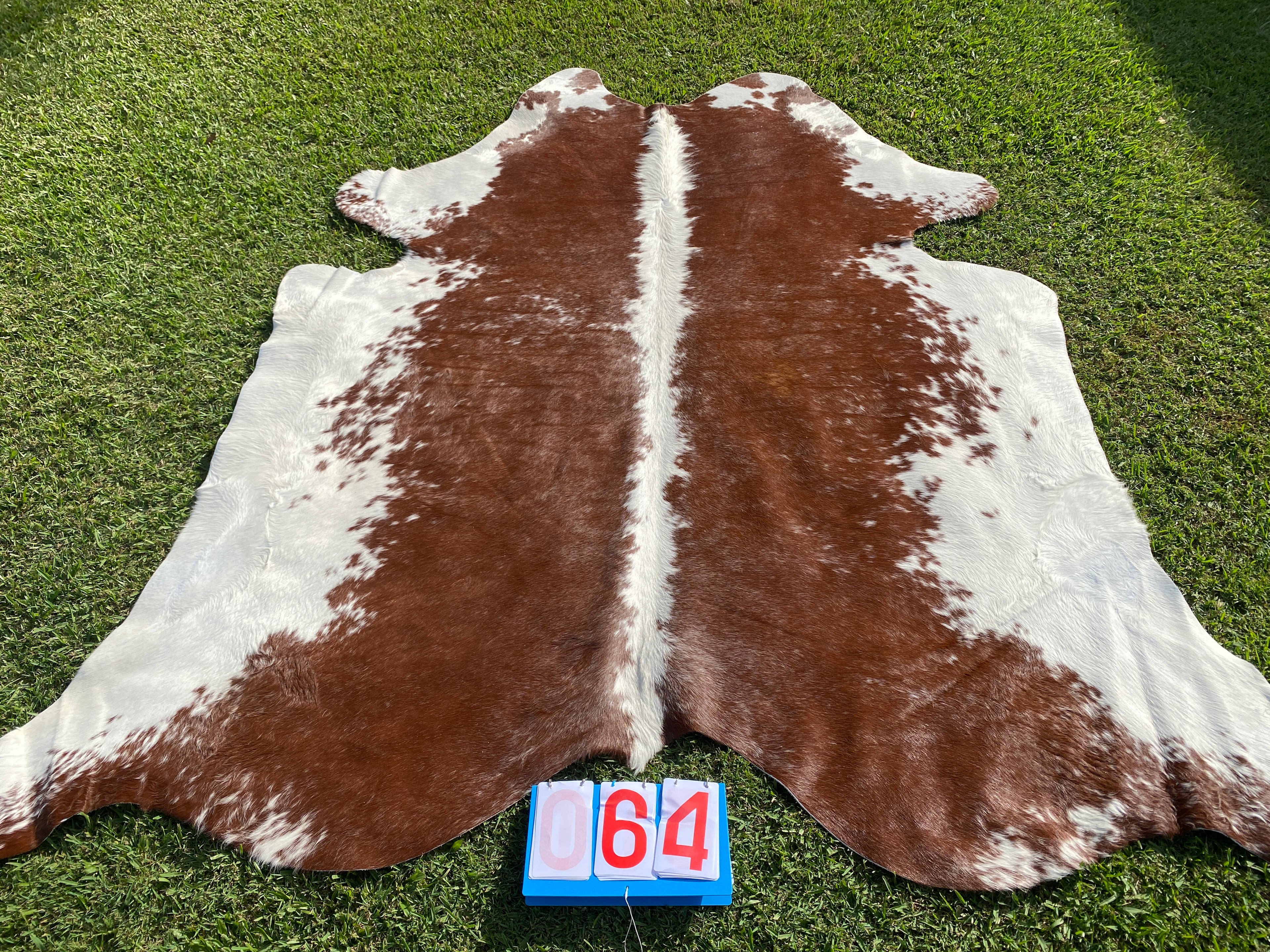 Cowhide 64  Brown with White Spine and Belly
