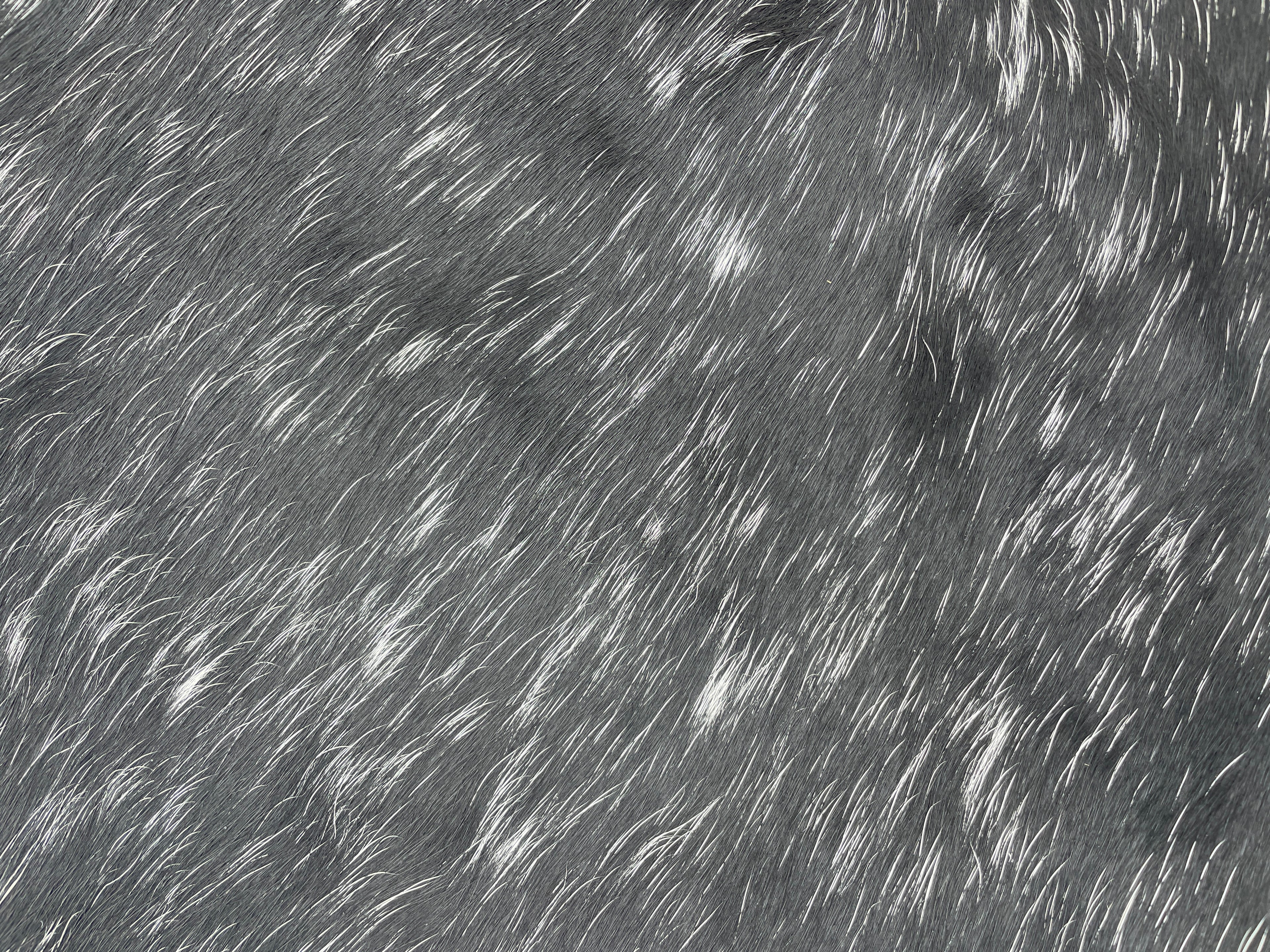 Cowhide 21 Reddish Black and White