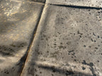 Cowhides - Metallic/ Printed 16