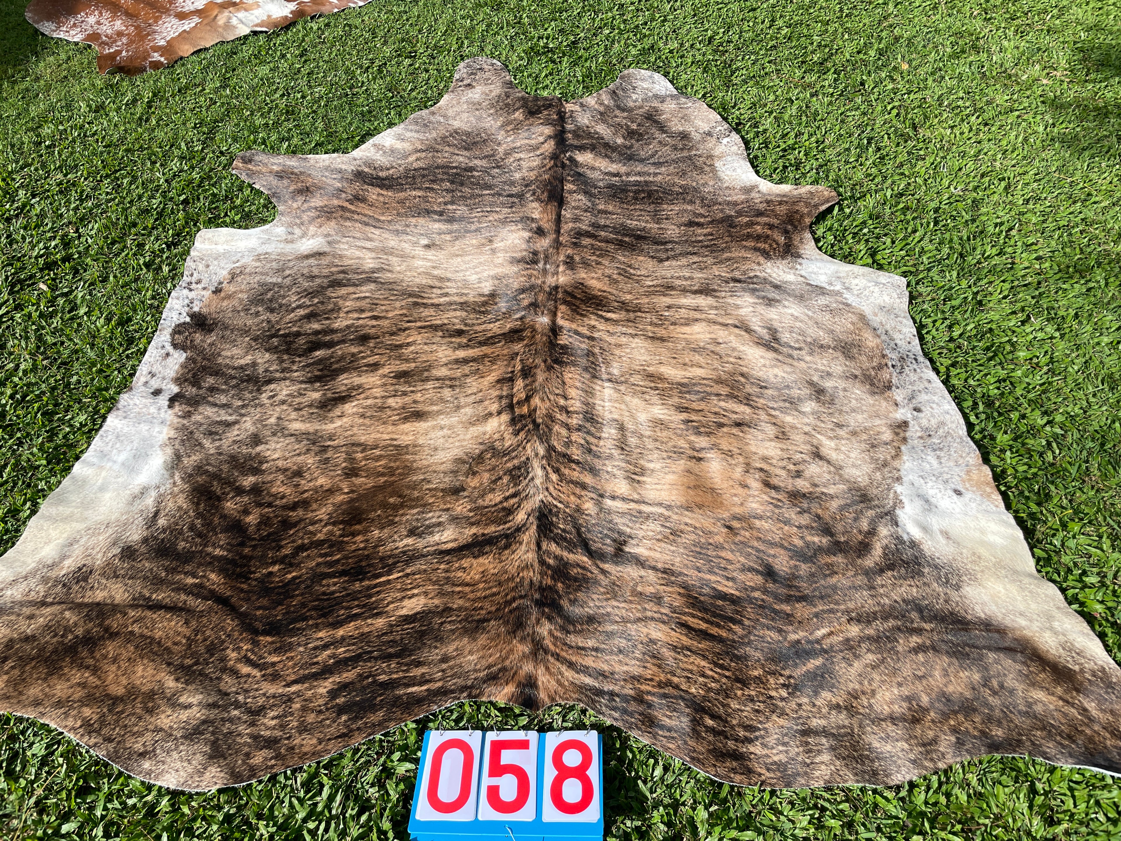 Cowhide 58 Brindle White Belly