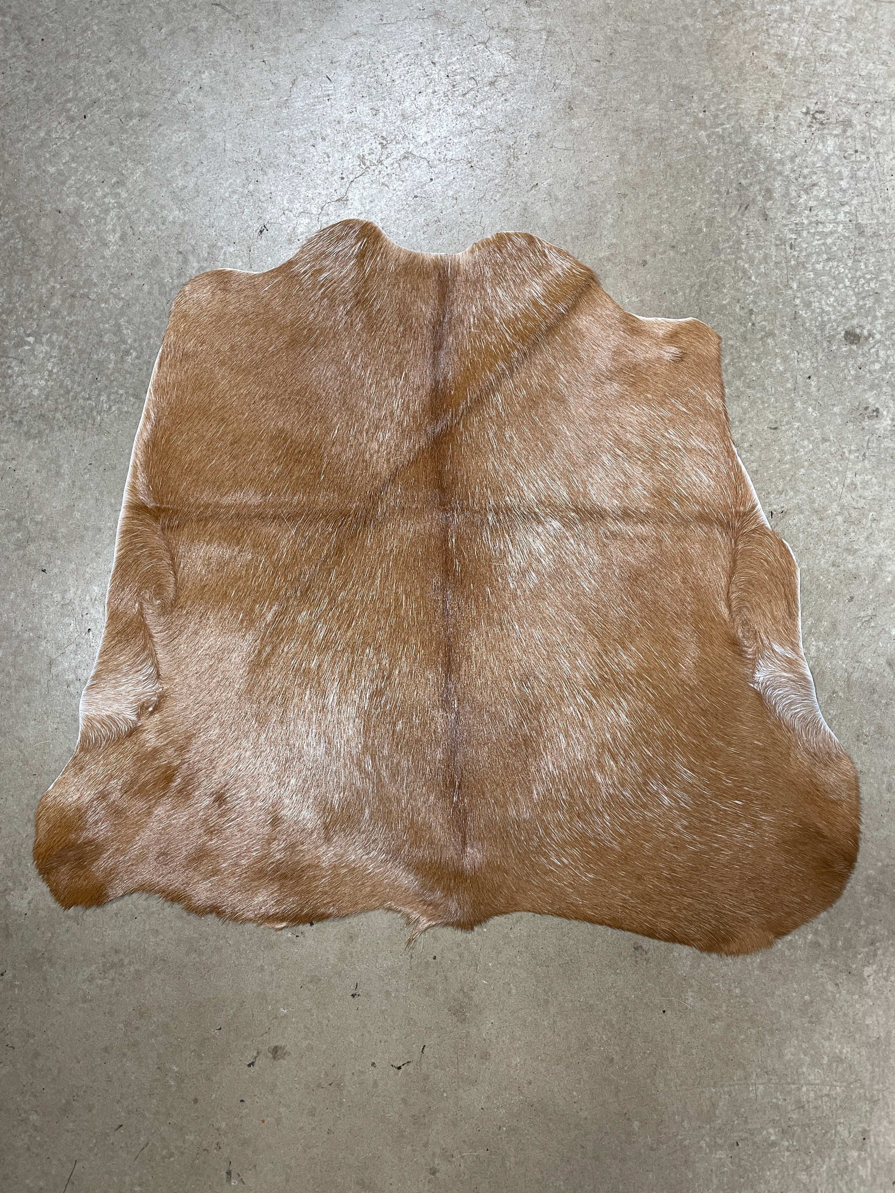 Specialty Skin - Goat 04