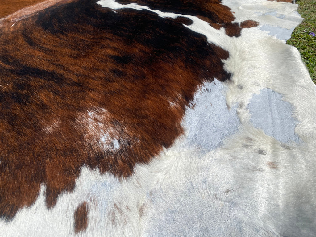 Cowhides - Second Grade