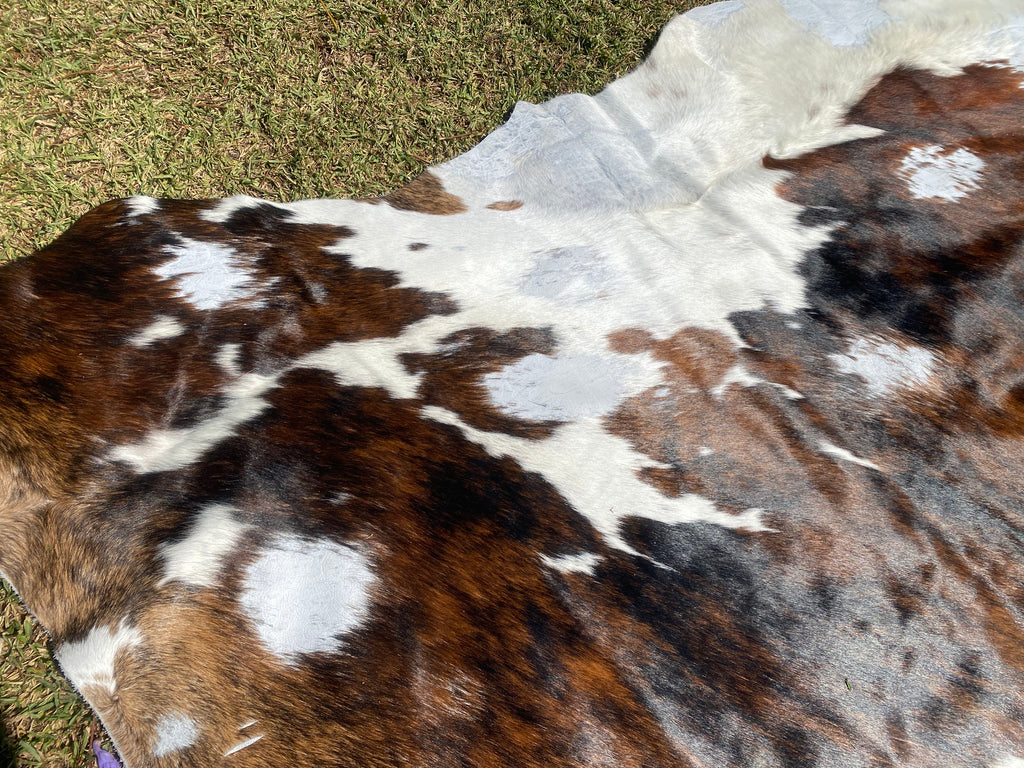 Cowhides - Second Grade