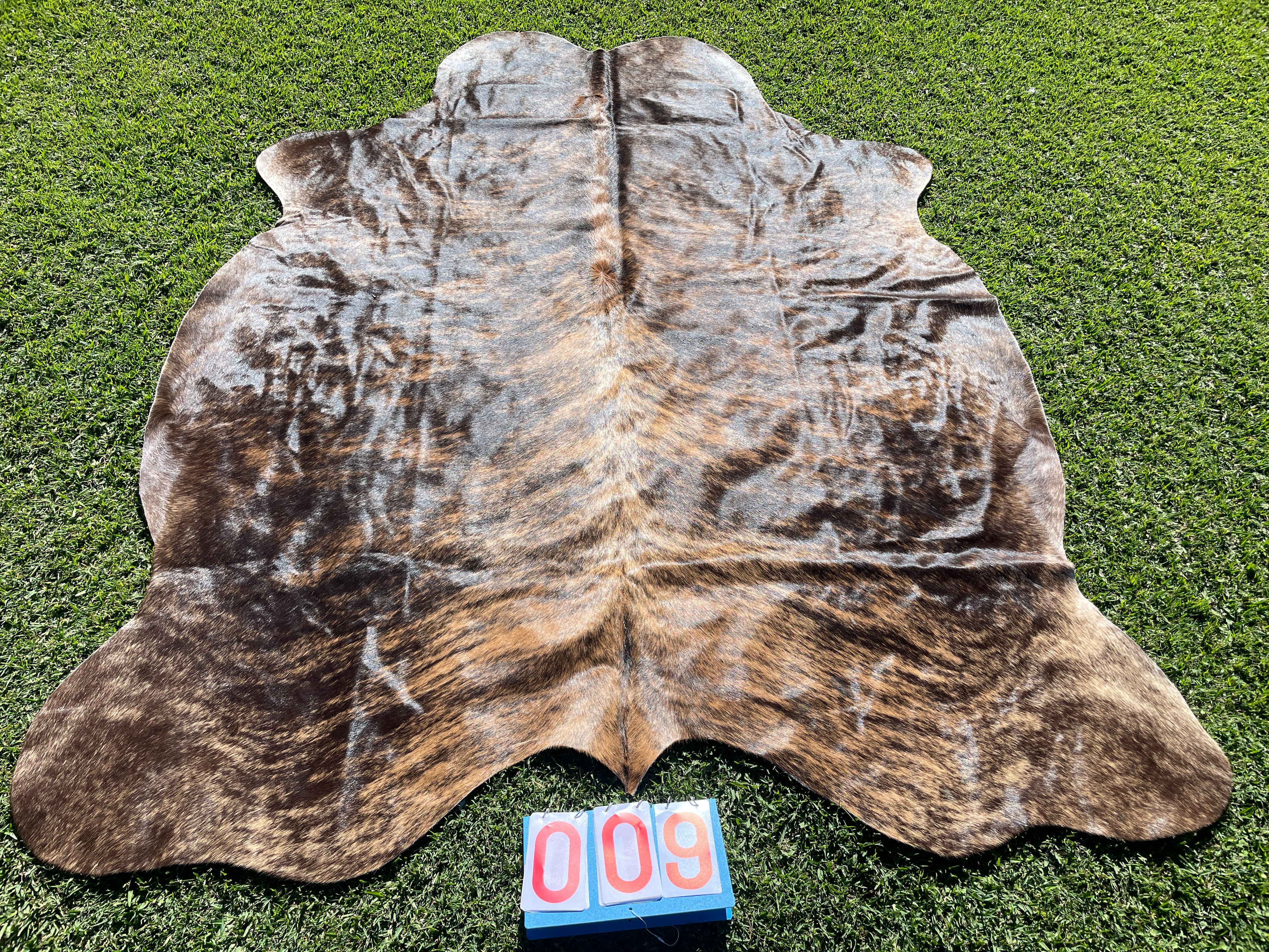 Cowhide 09 Stunning Brindle White Belly