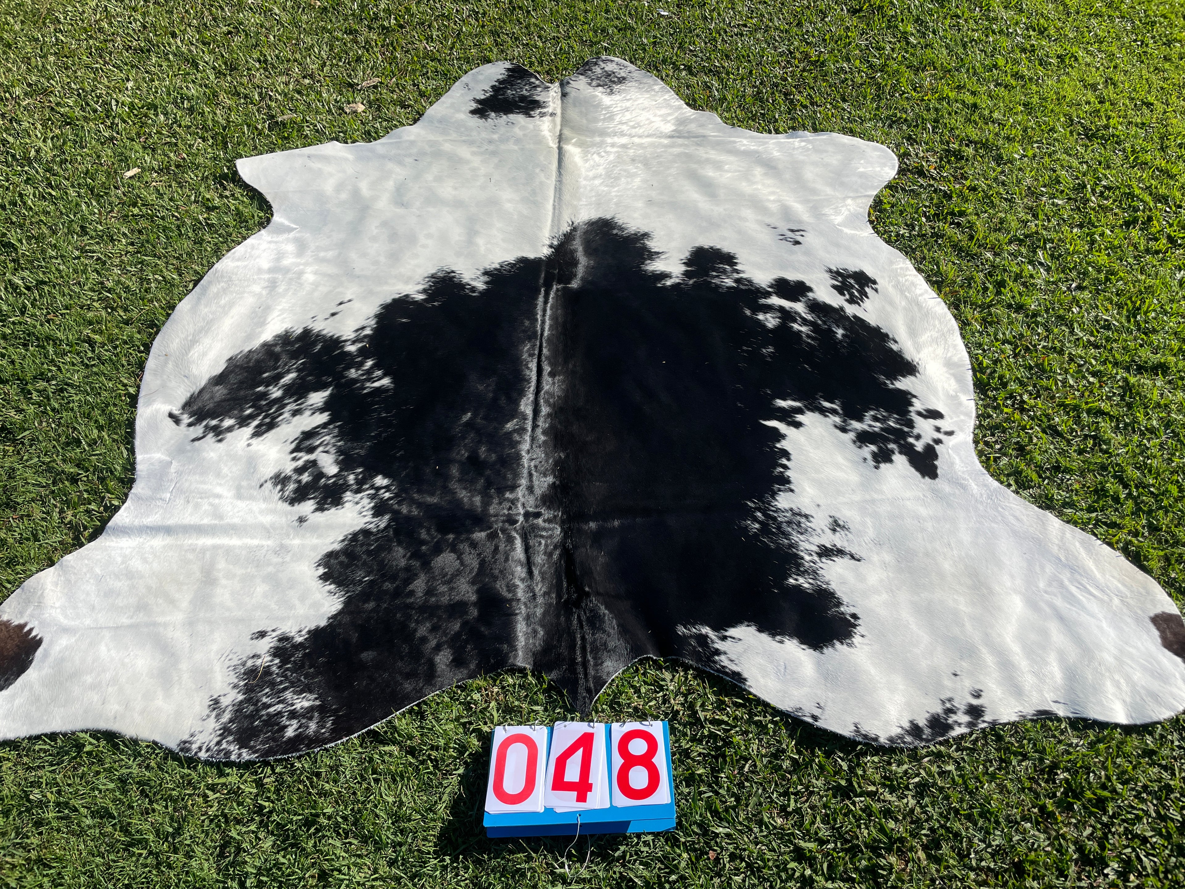 Cowhide 48 Black and White