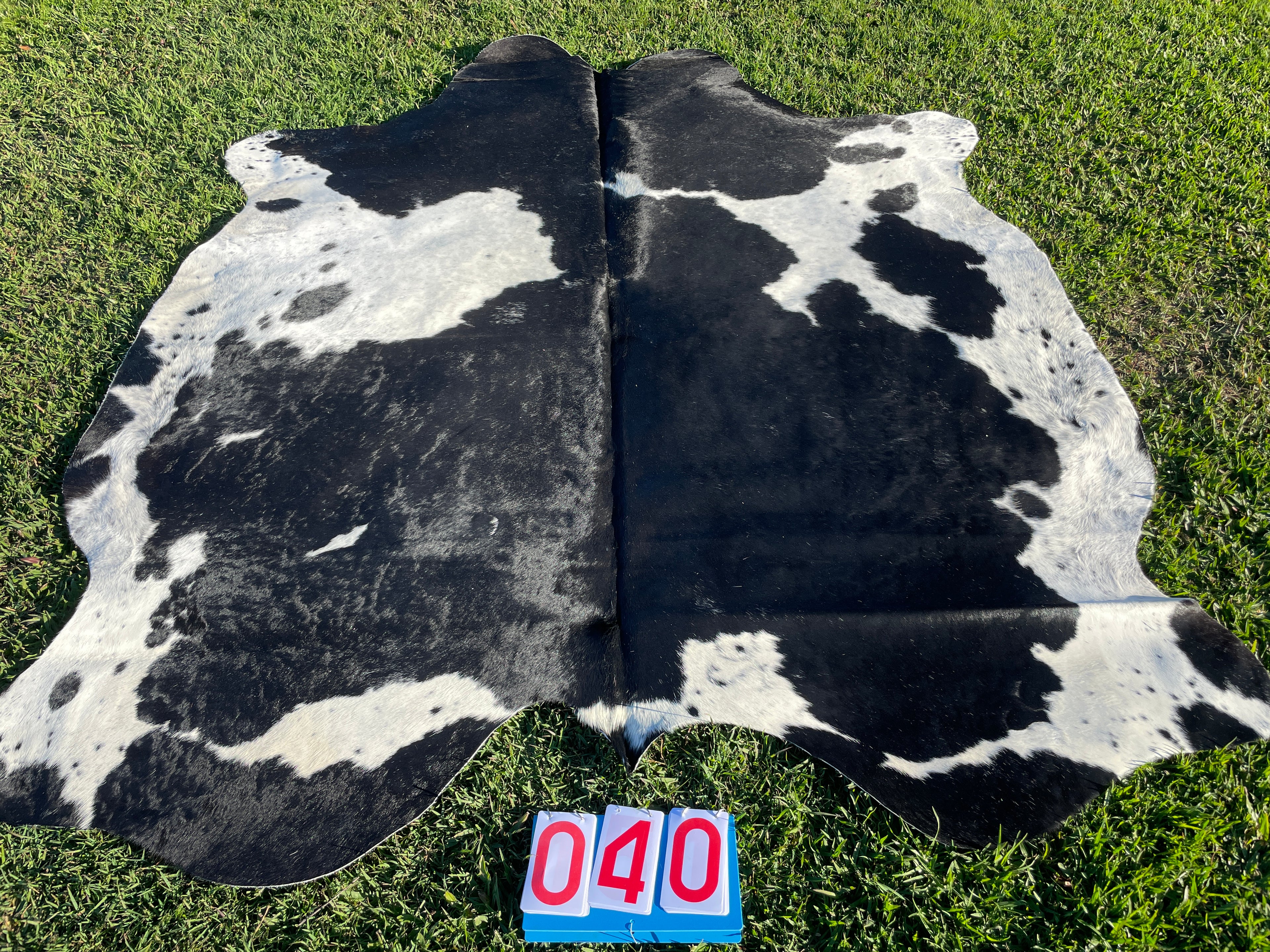 Cowhide 40 Black & White