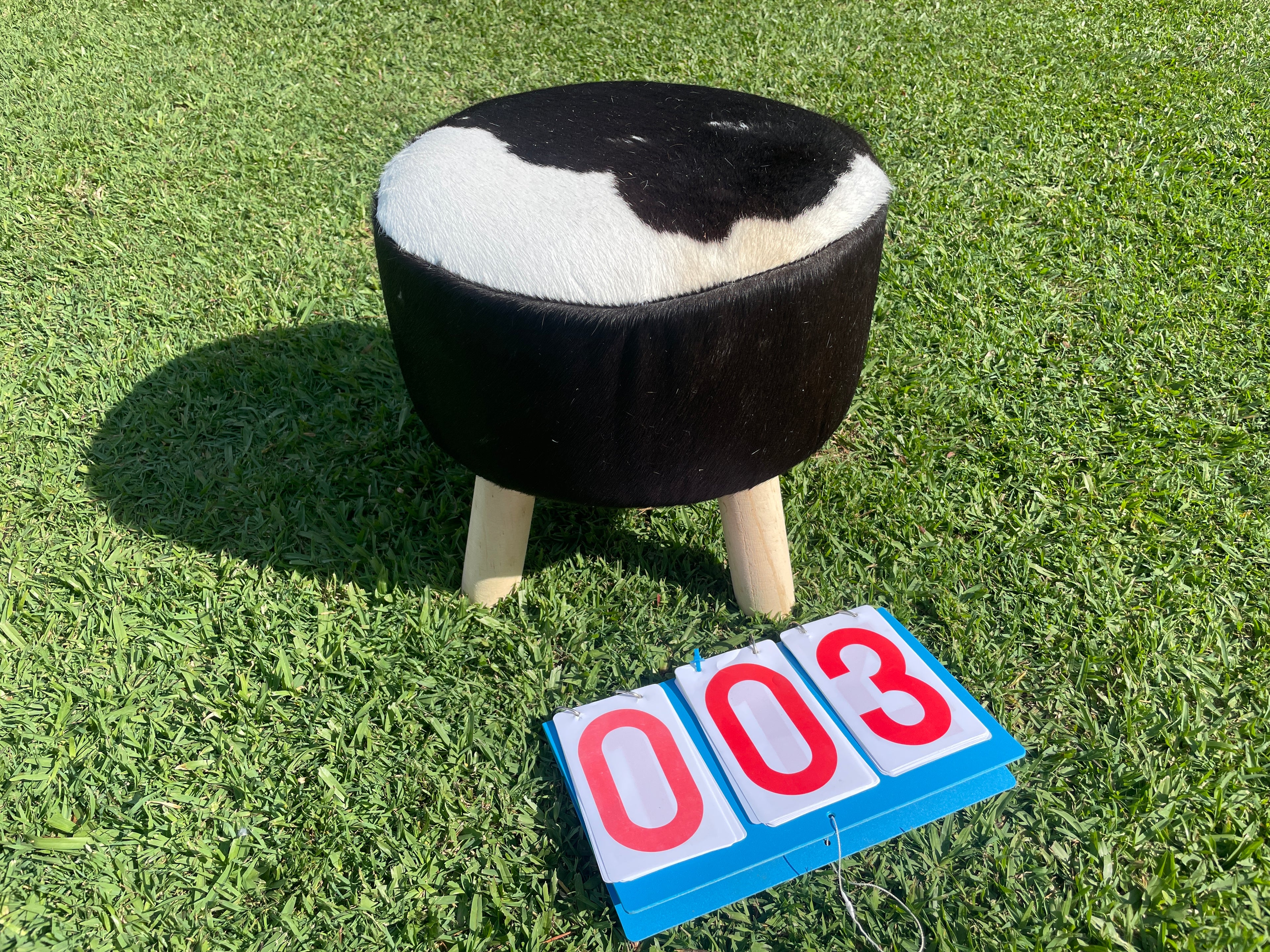 Cowhide Footstool 03