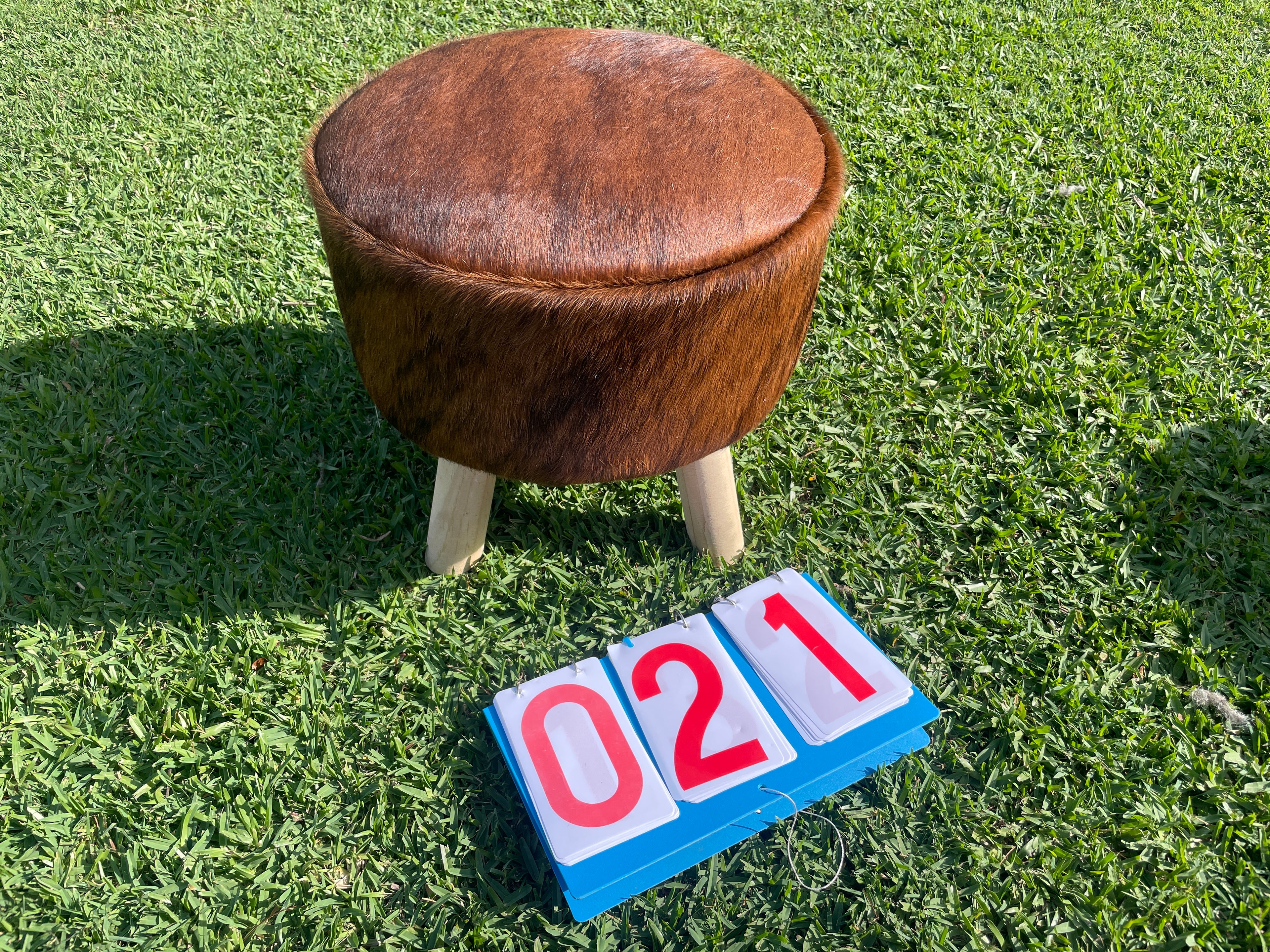 Cowhide Footstool 21