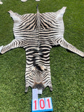 Specialty Skin - South African Zebra Skin (Real)01