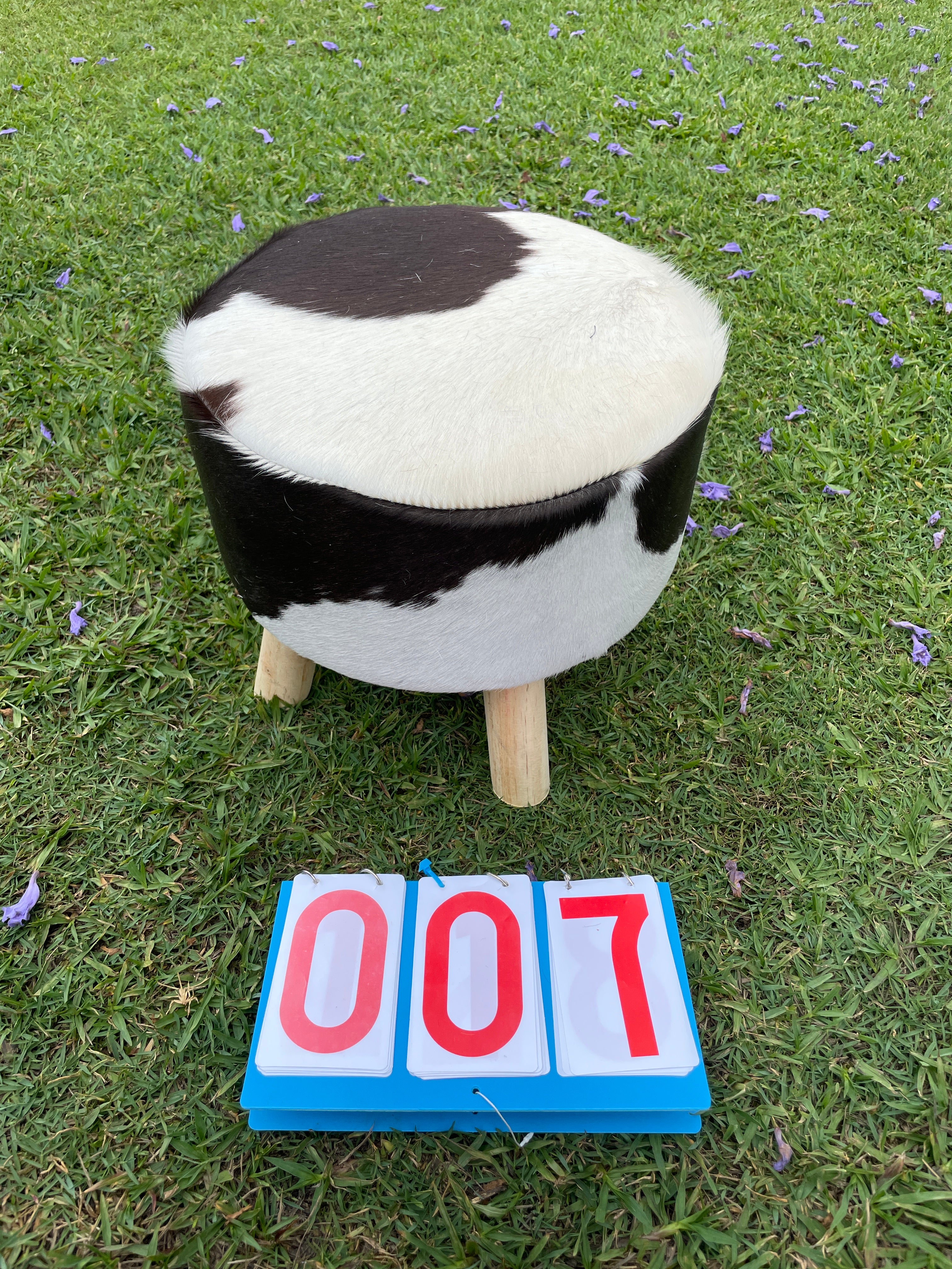 Cowhide Footstool 07