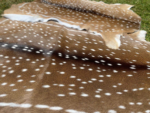 Deerskin - Queensland Chital and Fallow