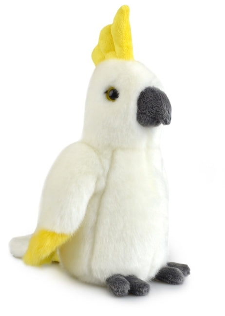 Toys - Soft Plush Animals