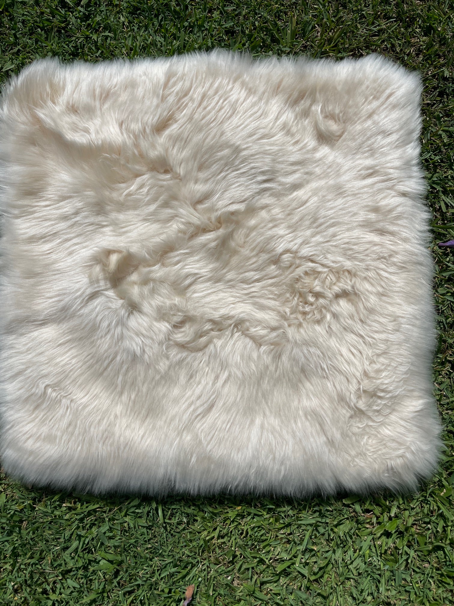 Sheepskin Rug - Squares