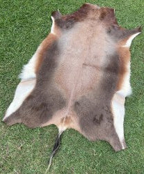 Specialty Skin - Blesbok