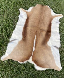 Specialty Skin - Springbok