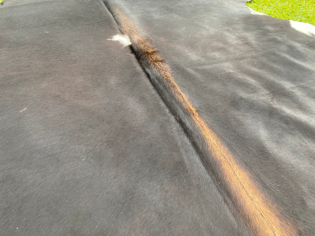 Cowhide 70 Black White & Red