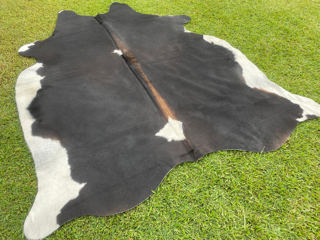 Cowhide 70 Black White & Red