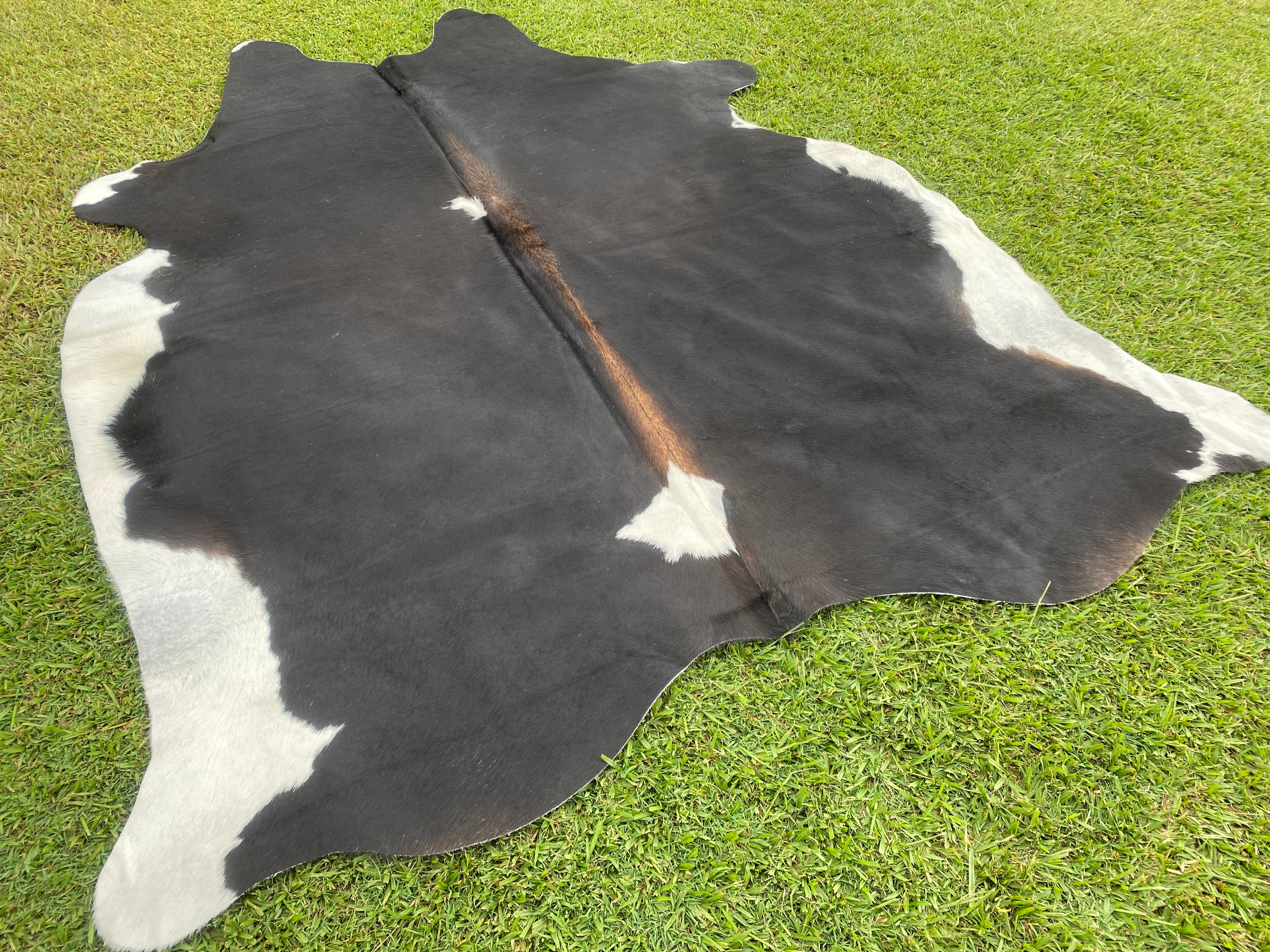 Cowhide 70 Black White & Red