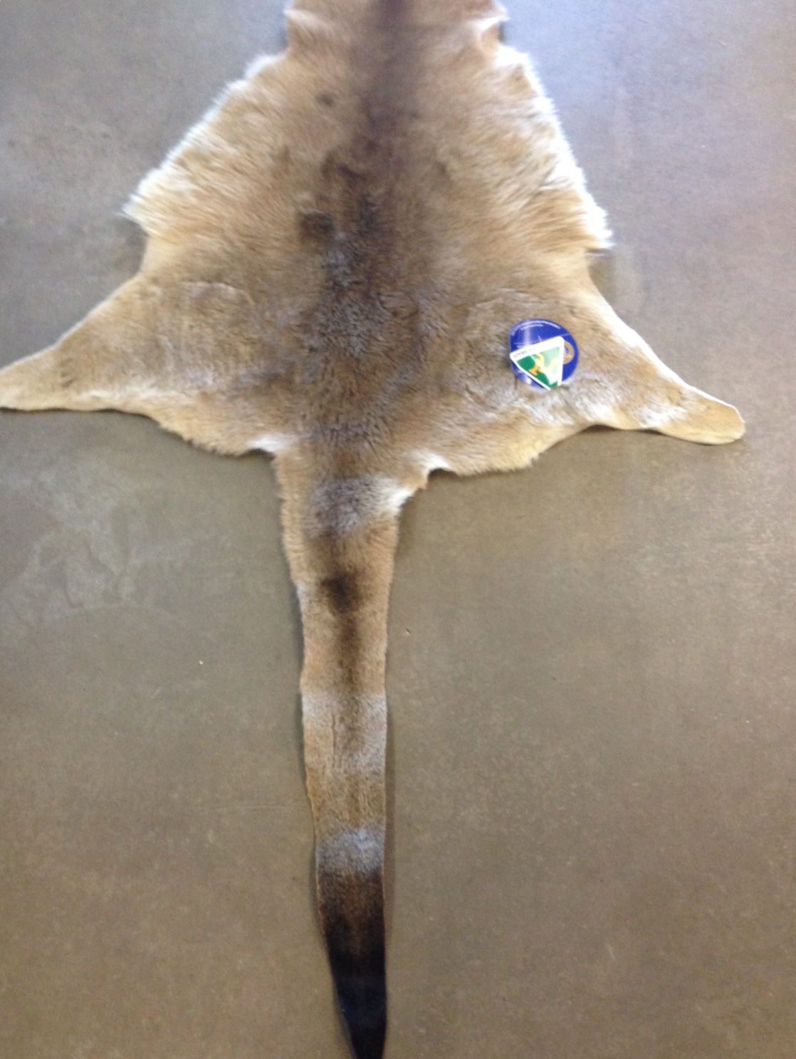 Specialty Skin - Kangaroo